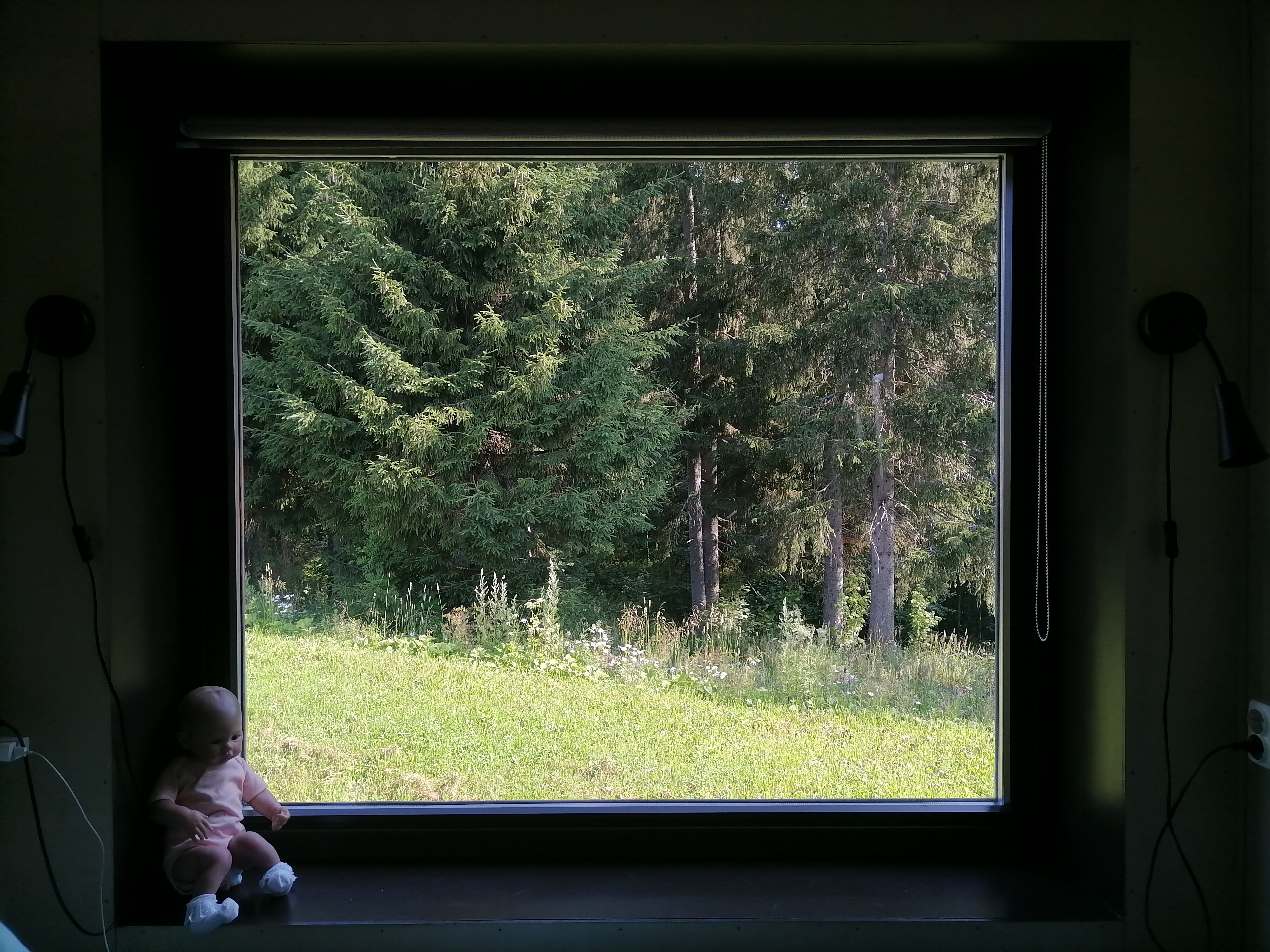 Фото Хутор Ёлки