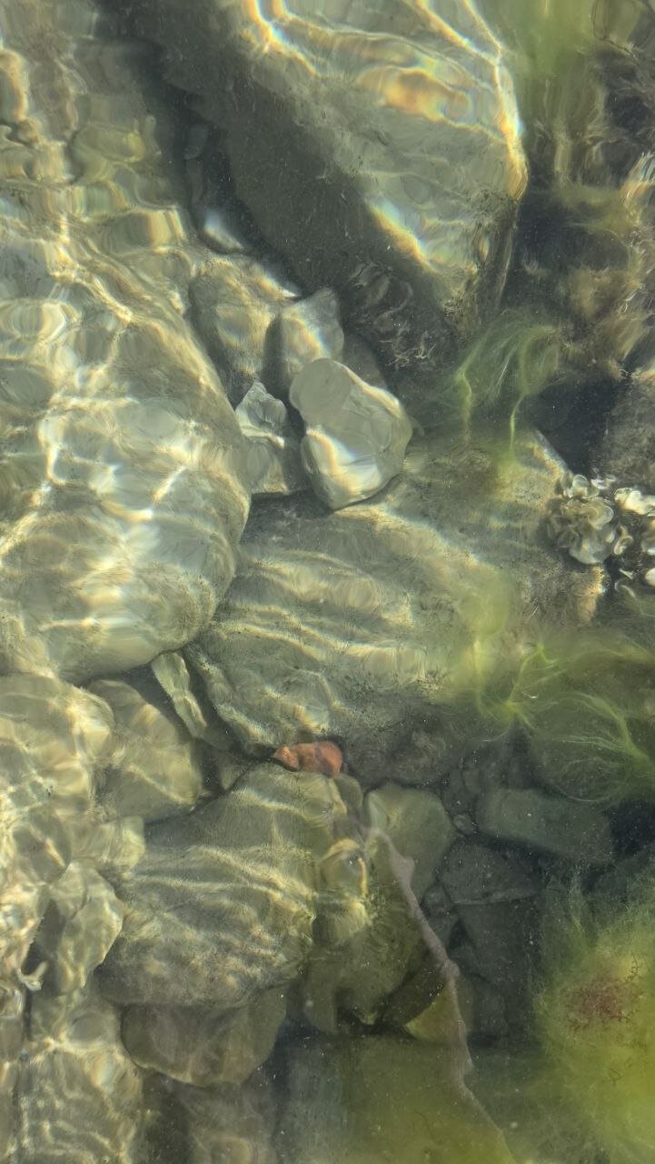 Фото Уютный