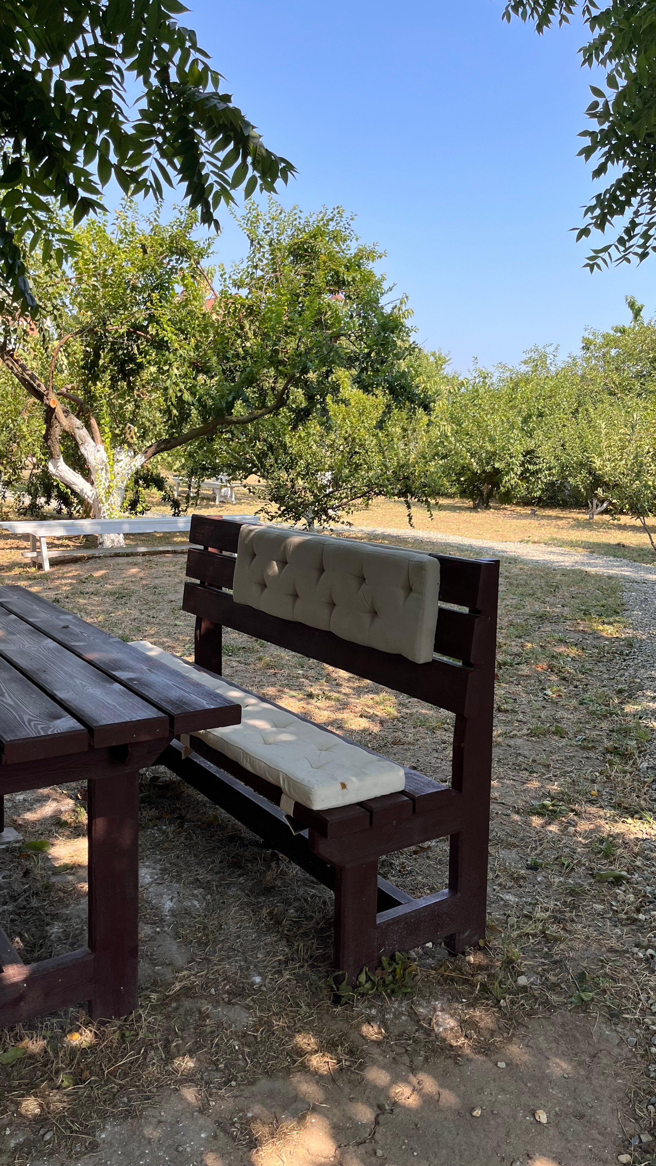 Фото Азов Бриз