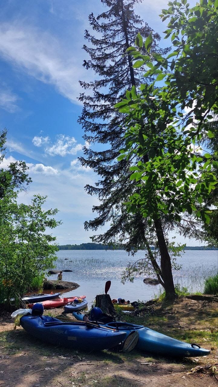 Фото Поляна