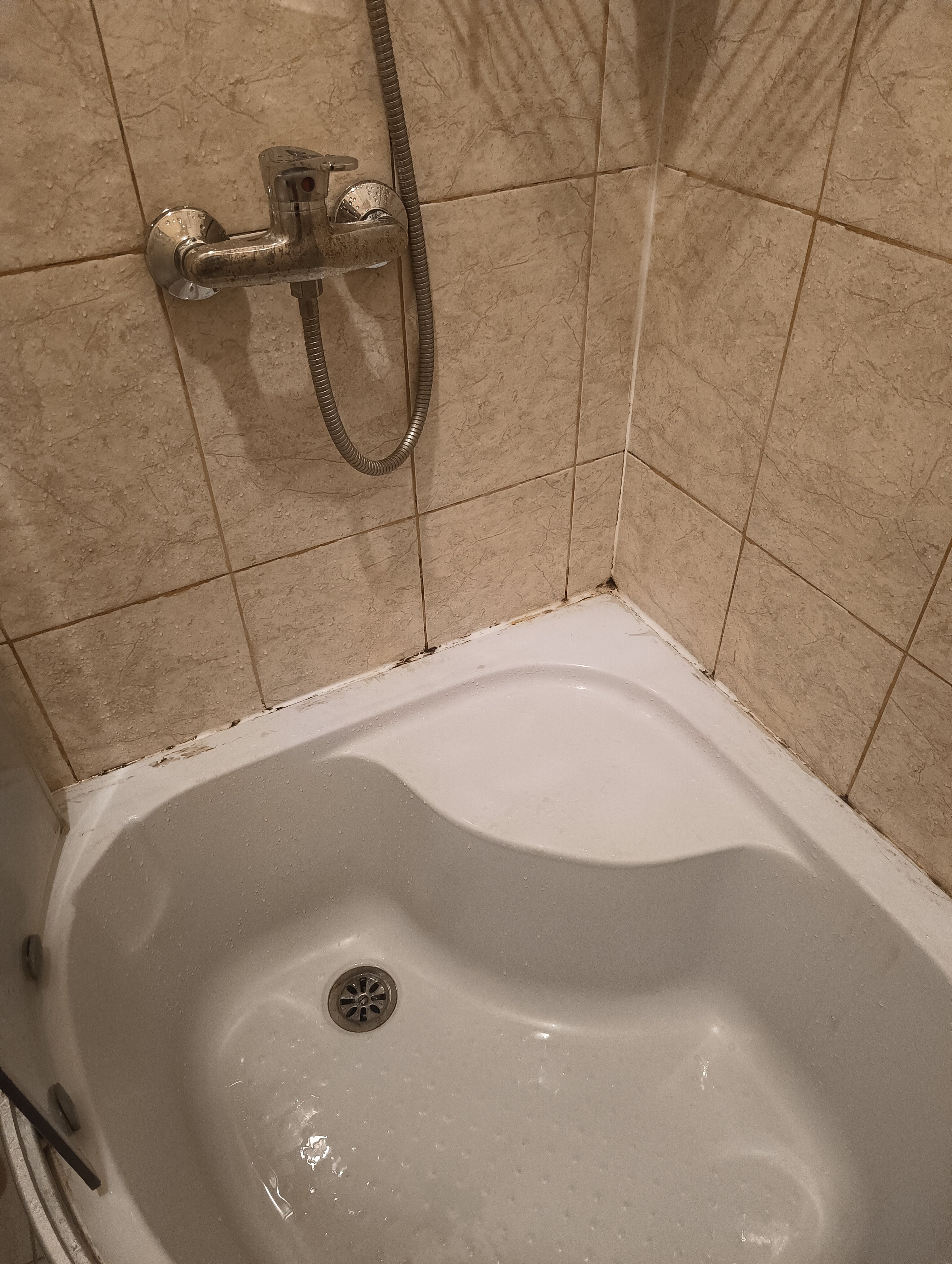 Фото Доброславия