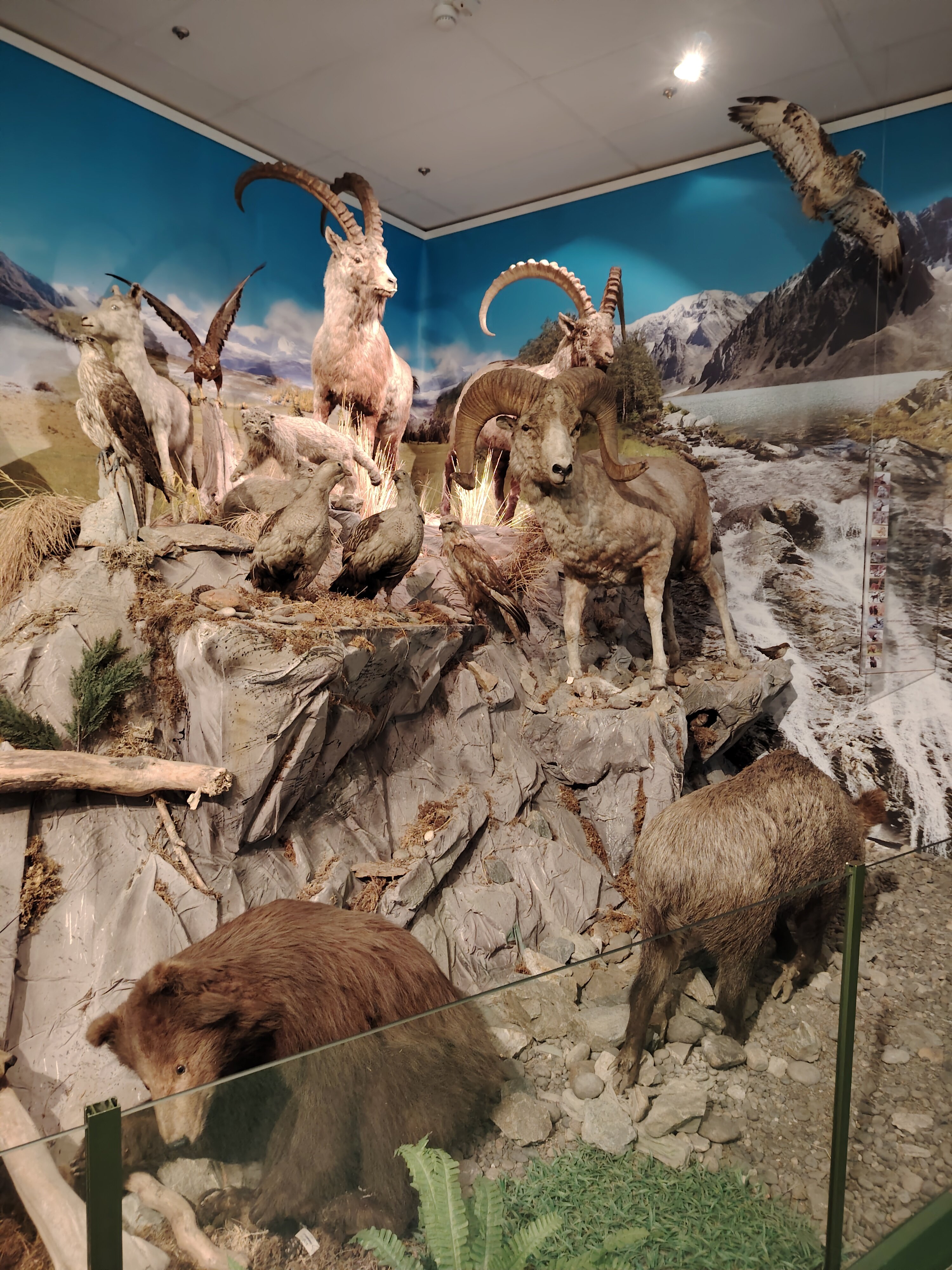 Фото Горный Алтай