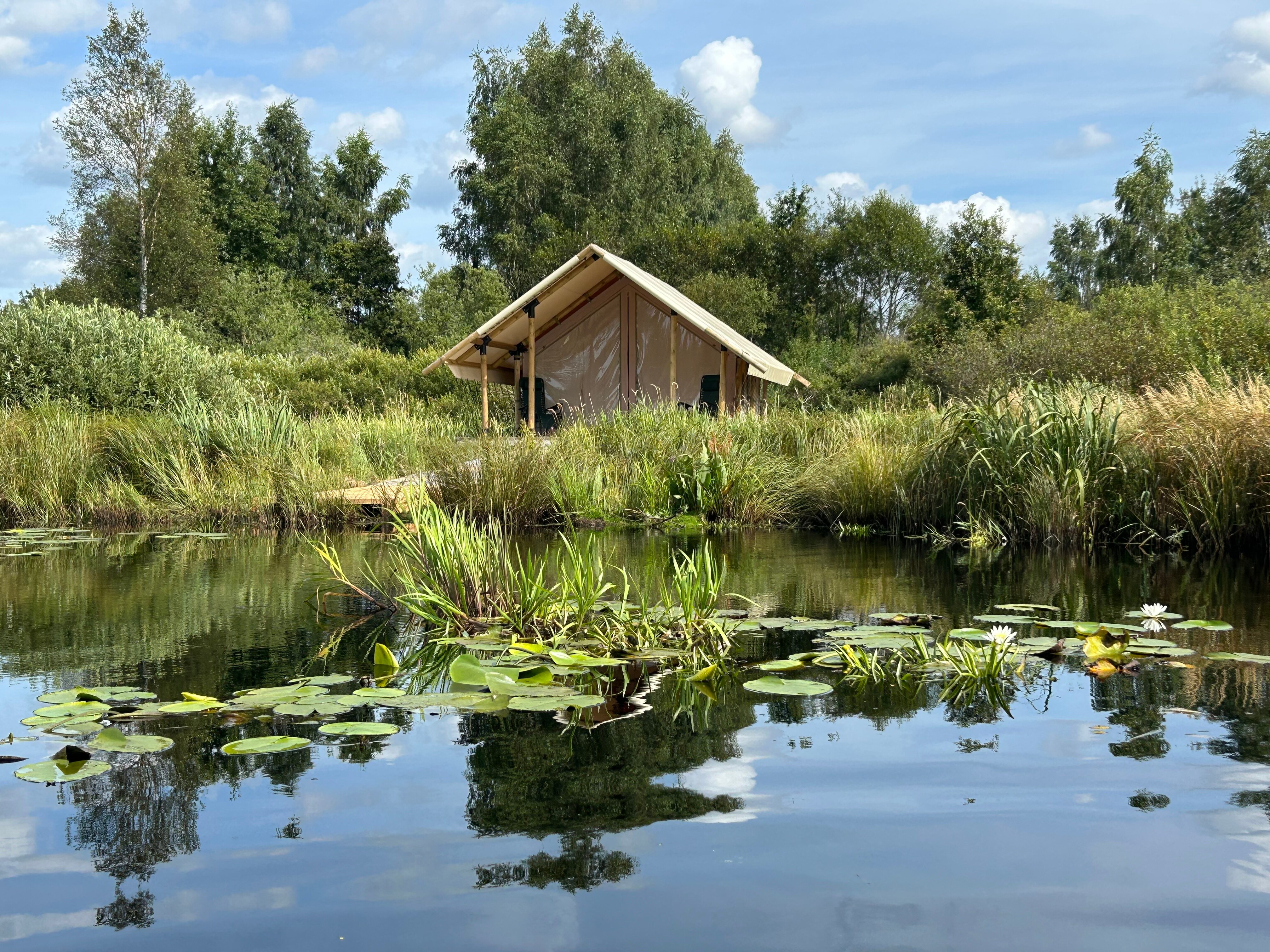 Фото Сад имени Александра Невского
