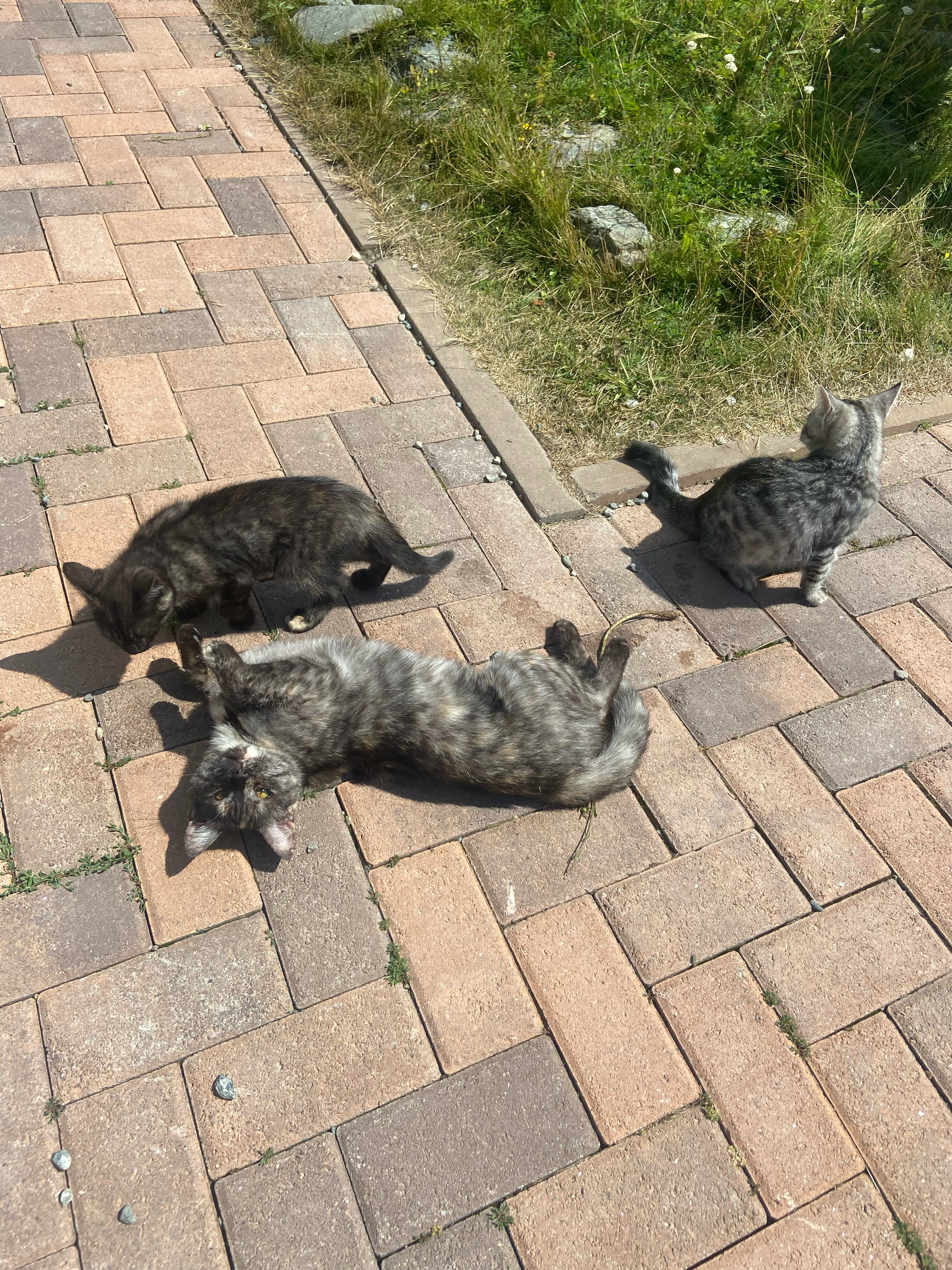 Фото Золото Архыза