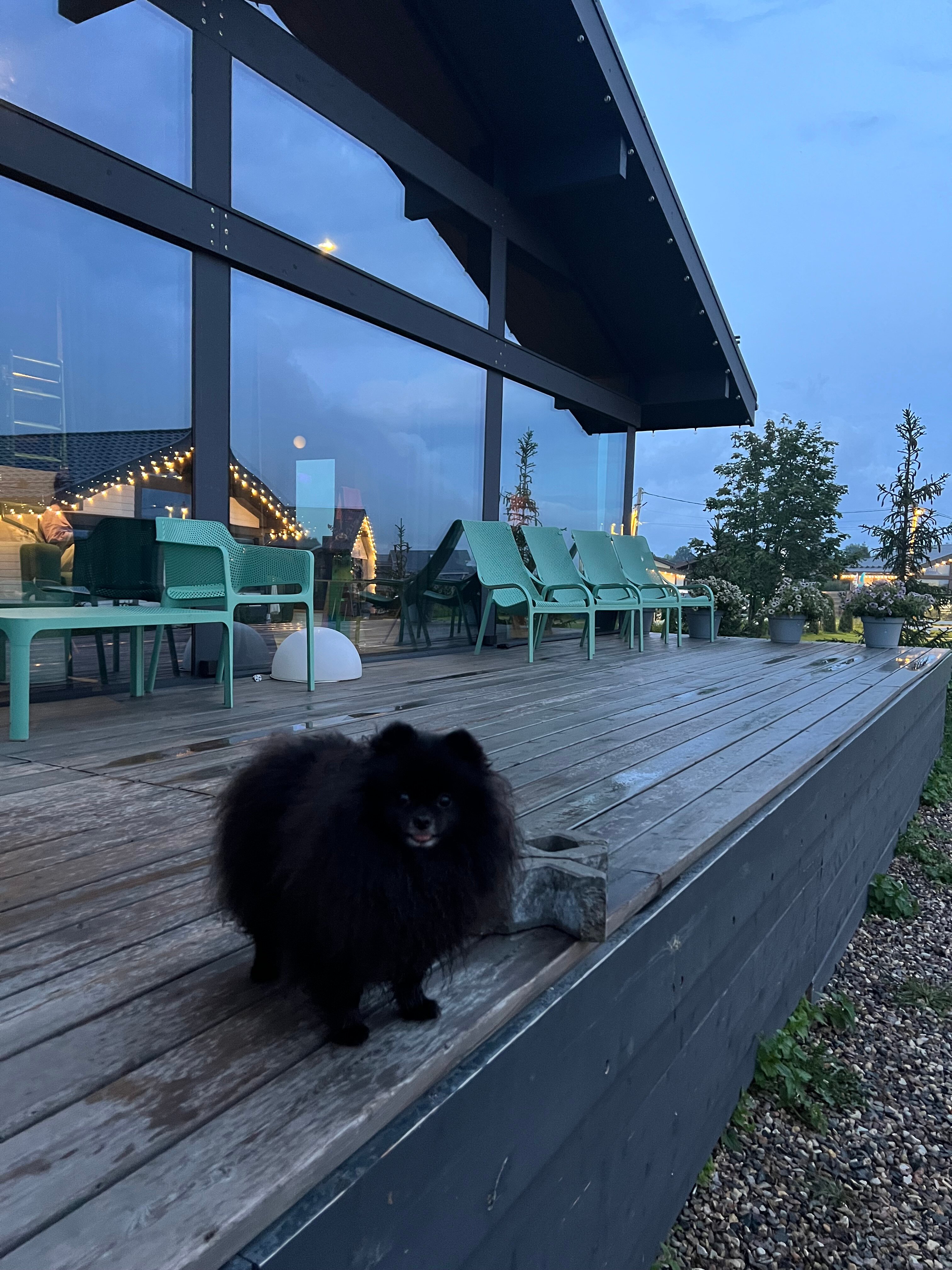 Фото Плещеево Хиллз