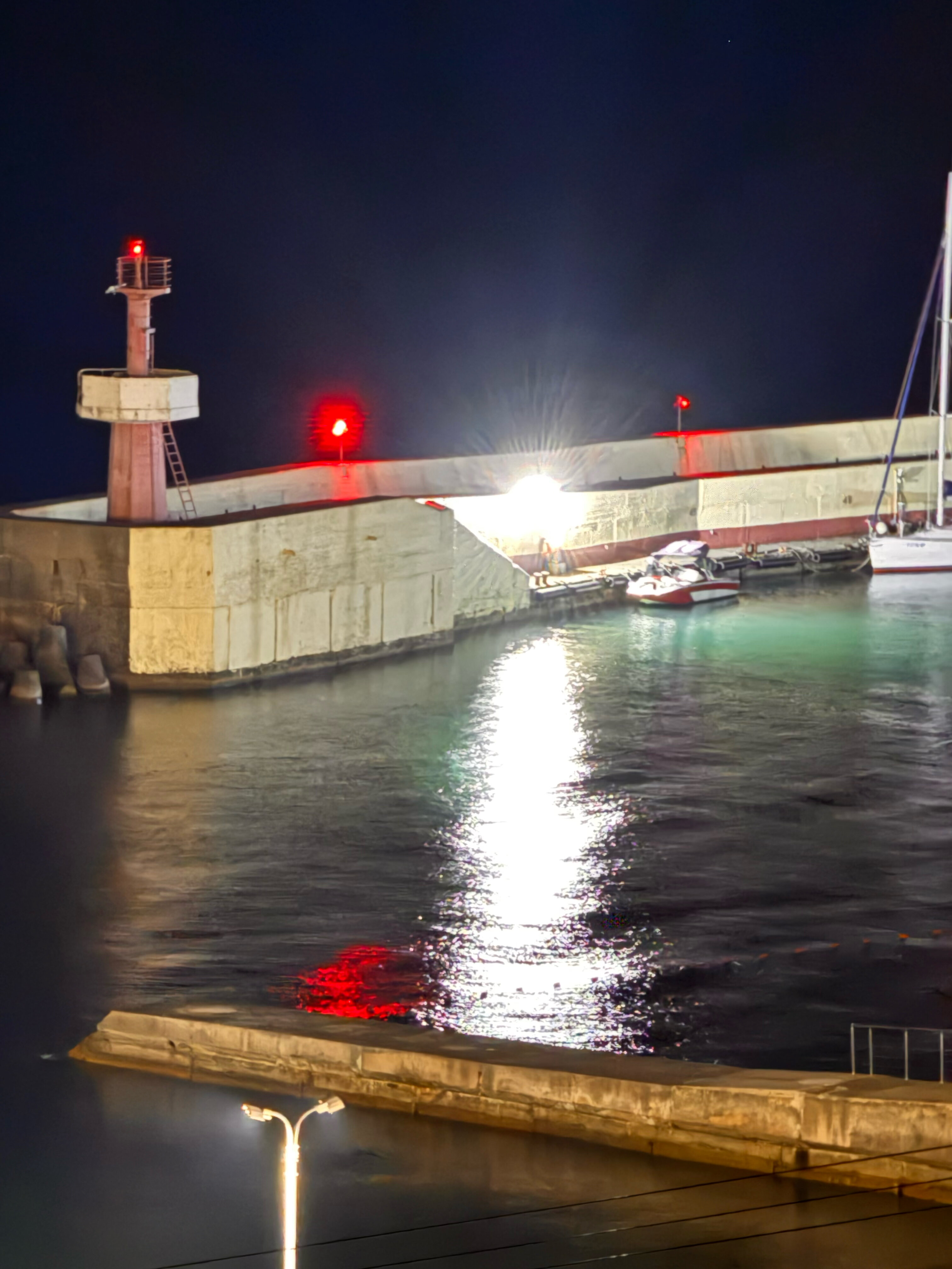 Фото Пеликан