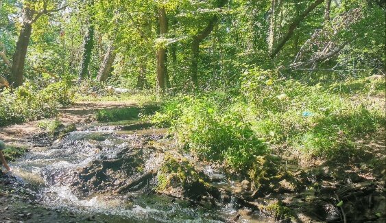 Фото Самурский рай