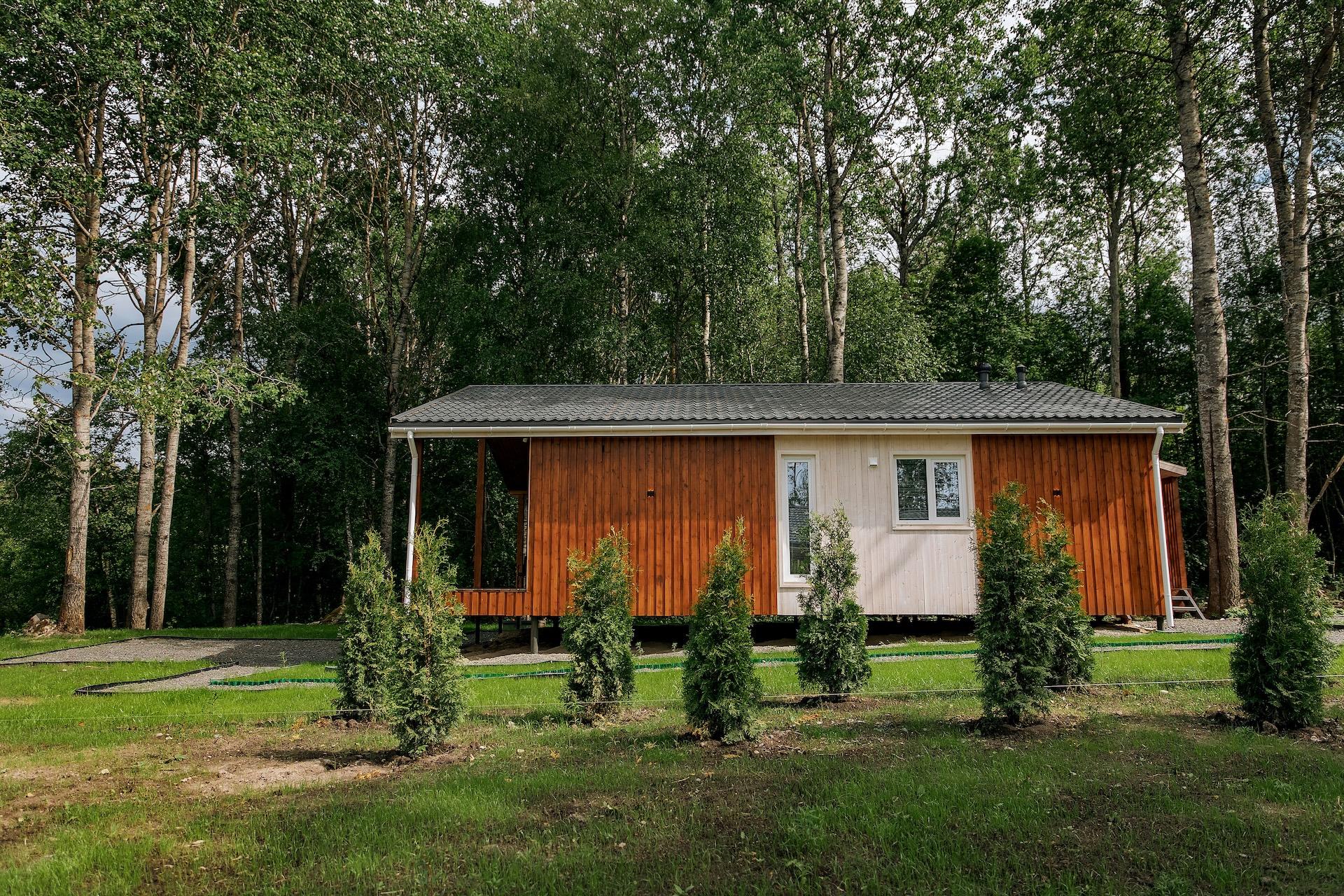 Фото Ёлки Чилл