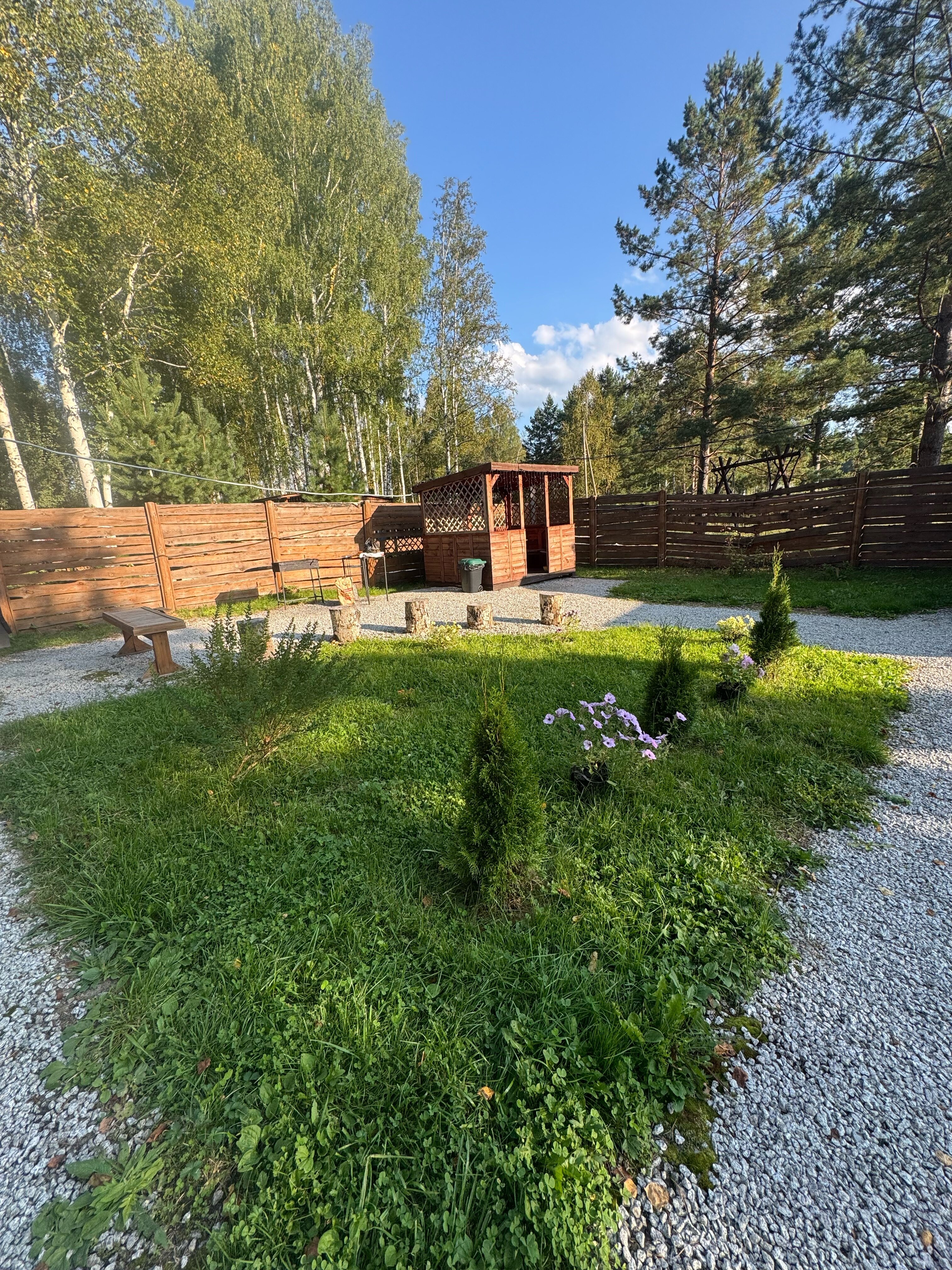 Фото Тихий Кот