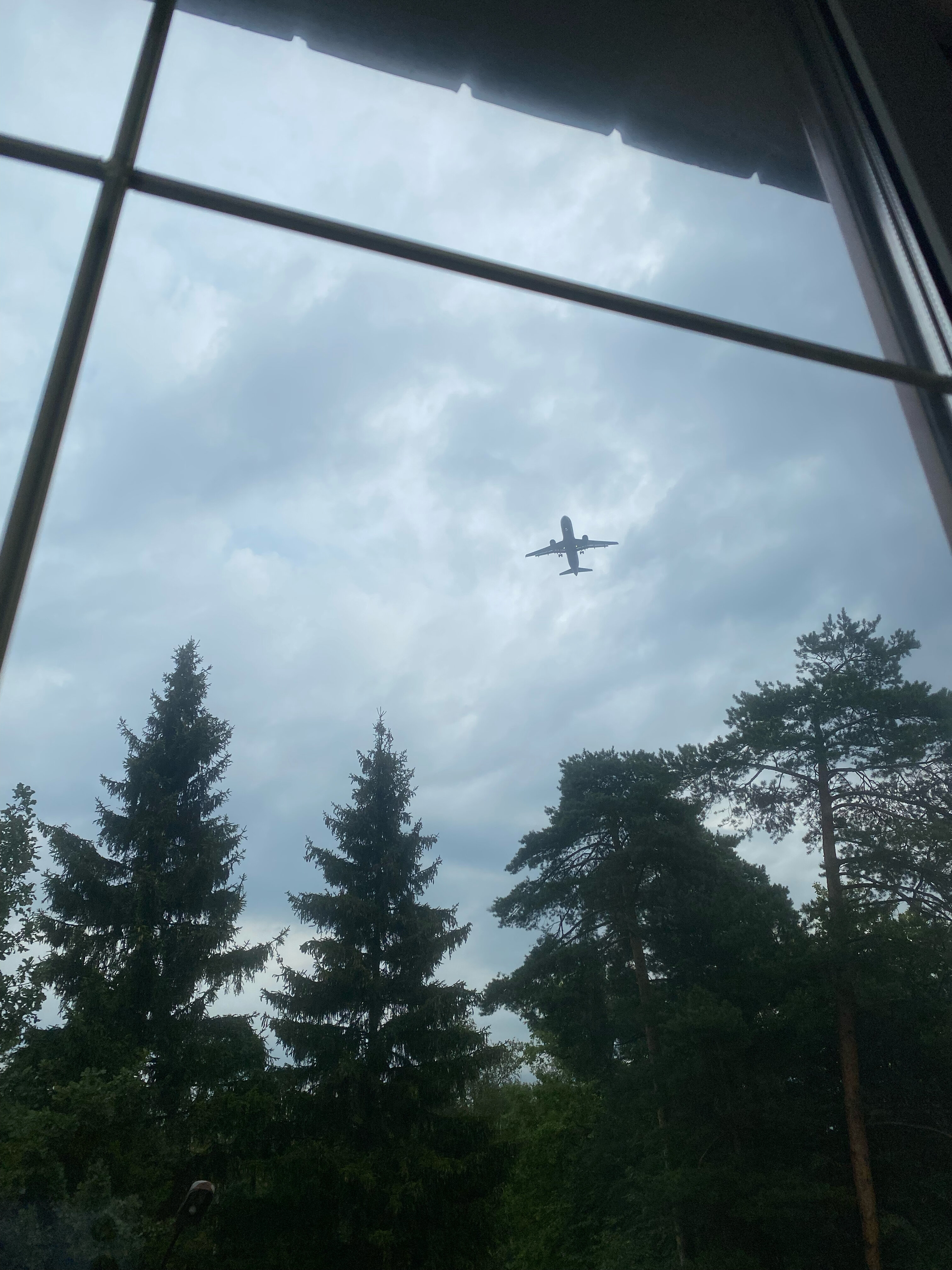 Фото Диадема Шереметьево