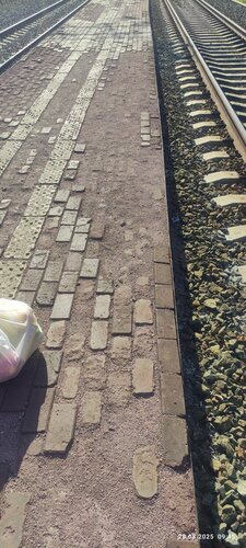 Саракташ жезөкшелер