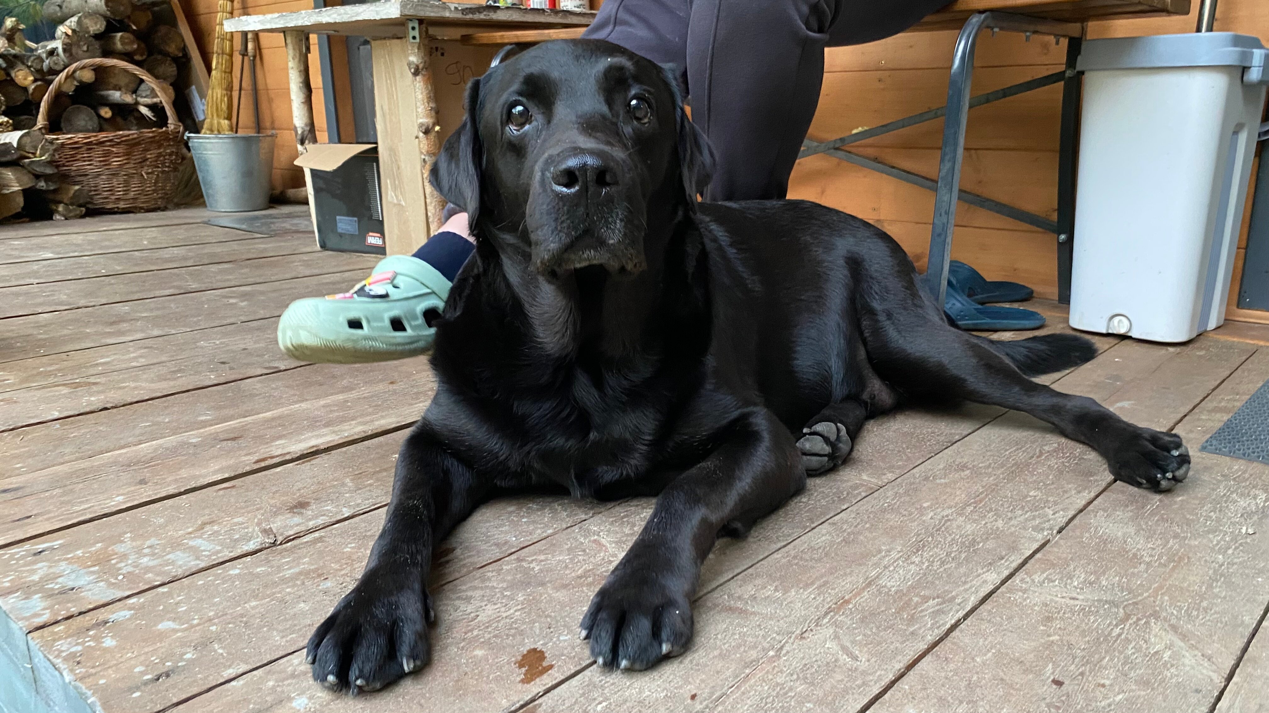 Фото Мама, я на даче