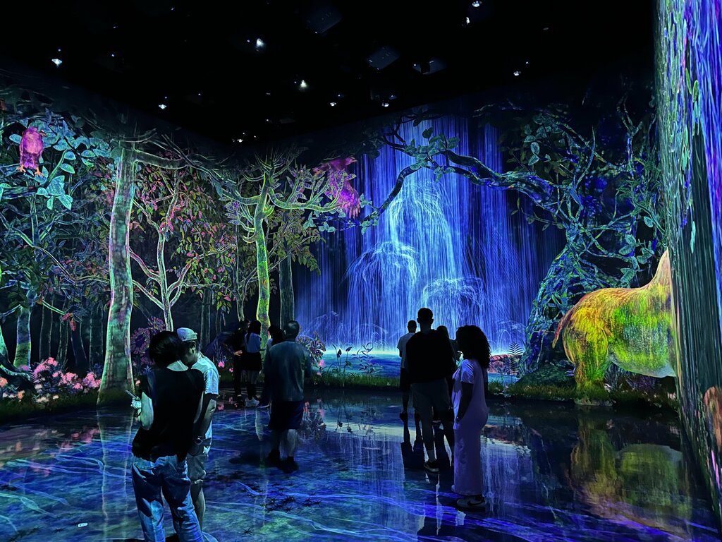 Museum TeamLab Planets, Tokyo, photo