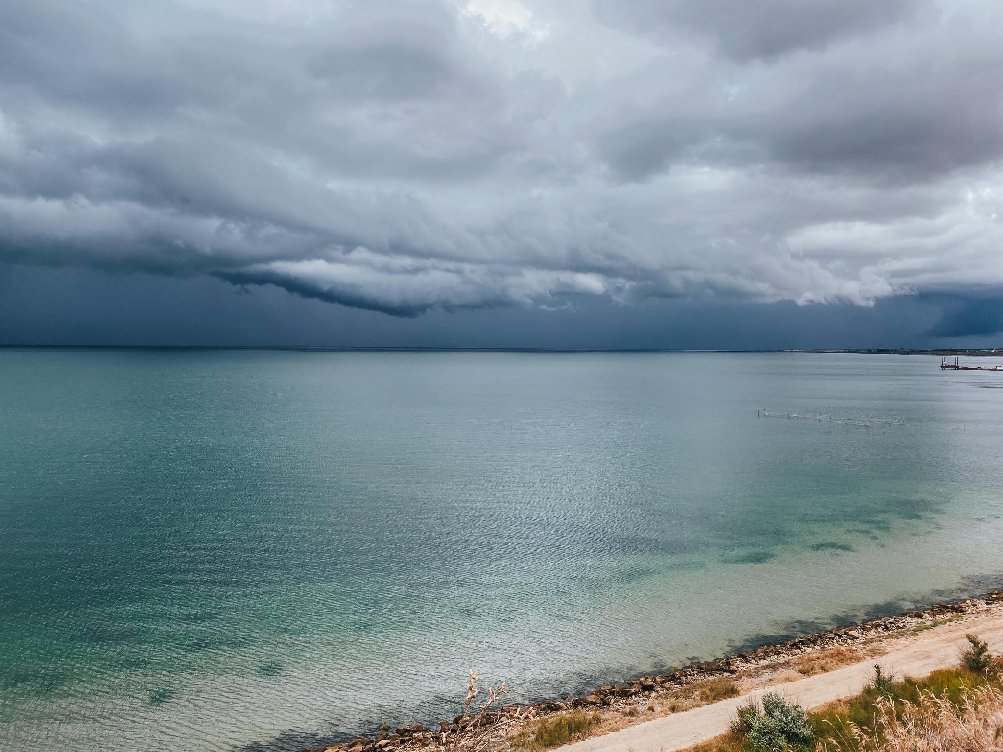 Фото Лемонад