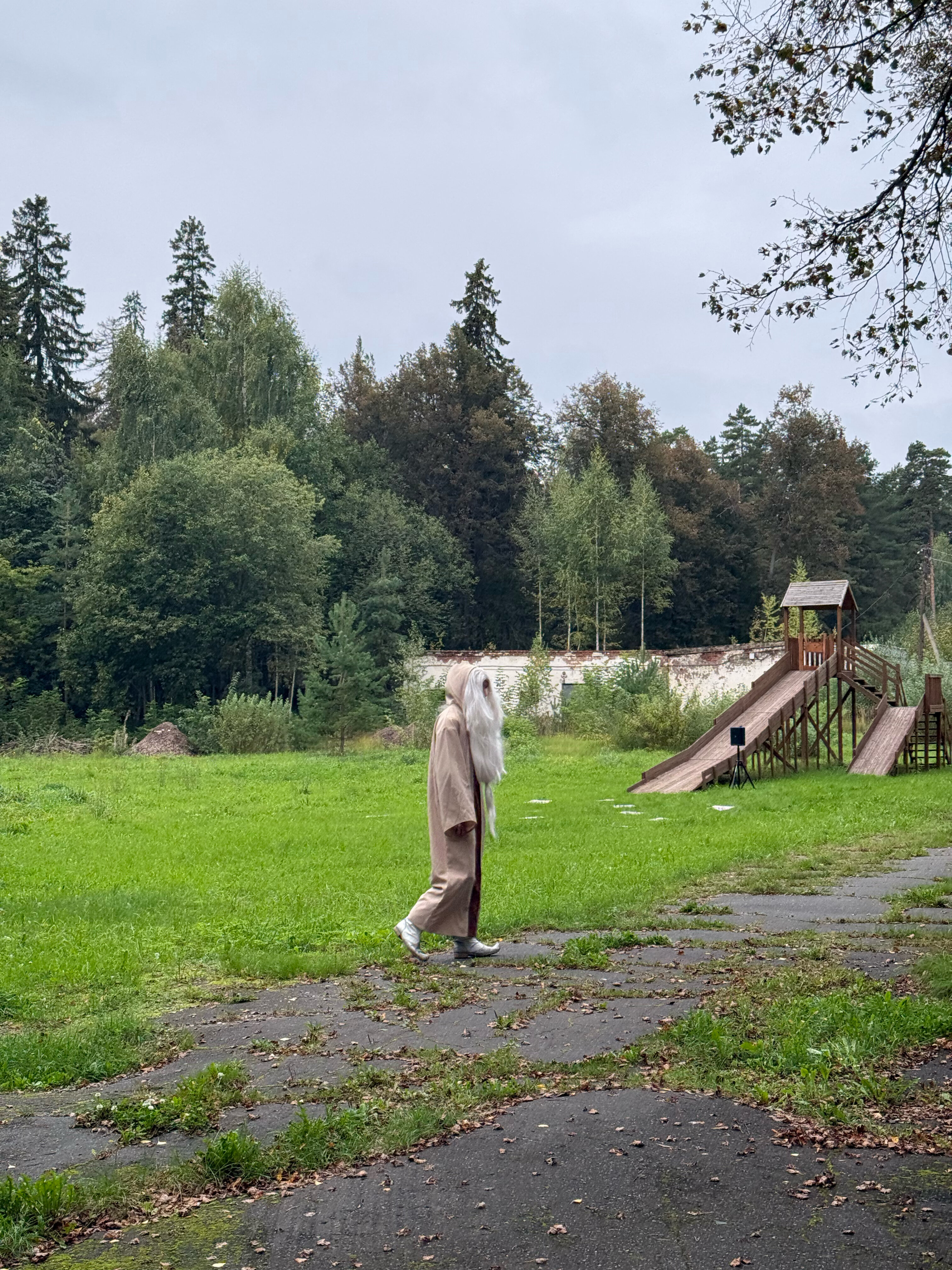 Фото Тихий Лес