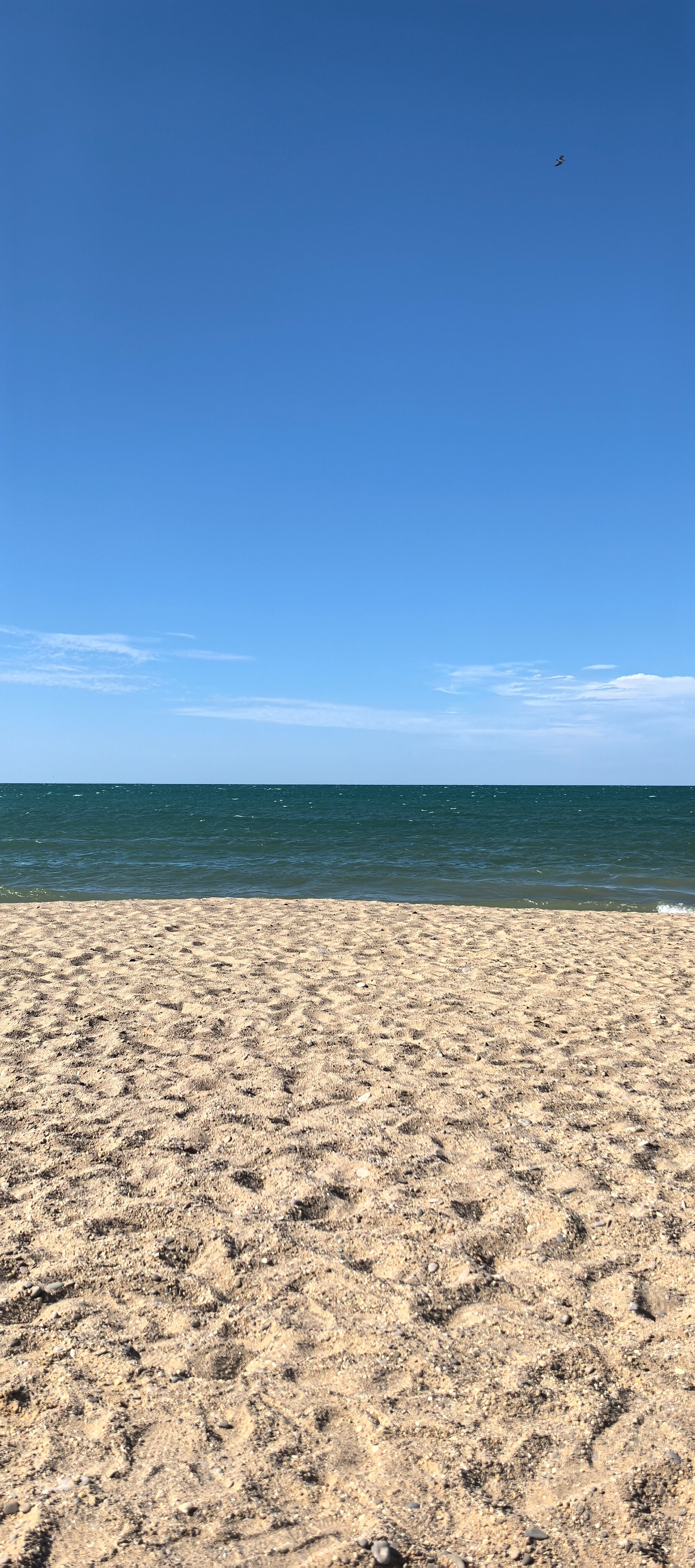 Фото Лагуна