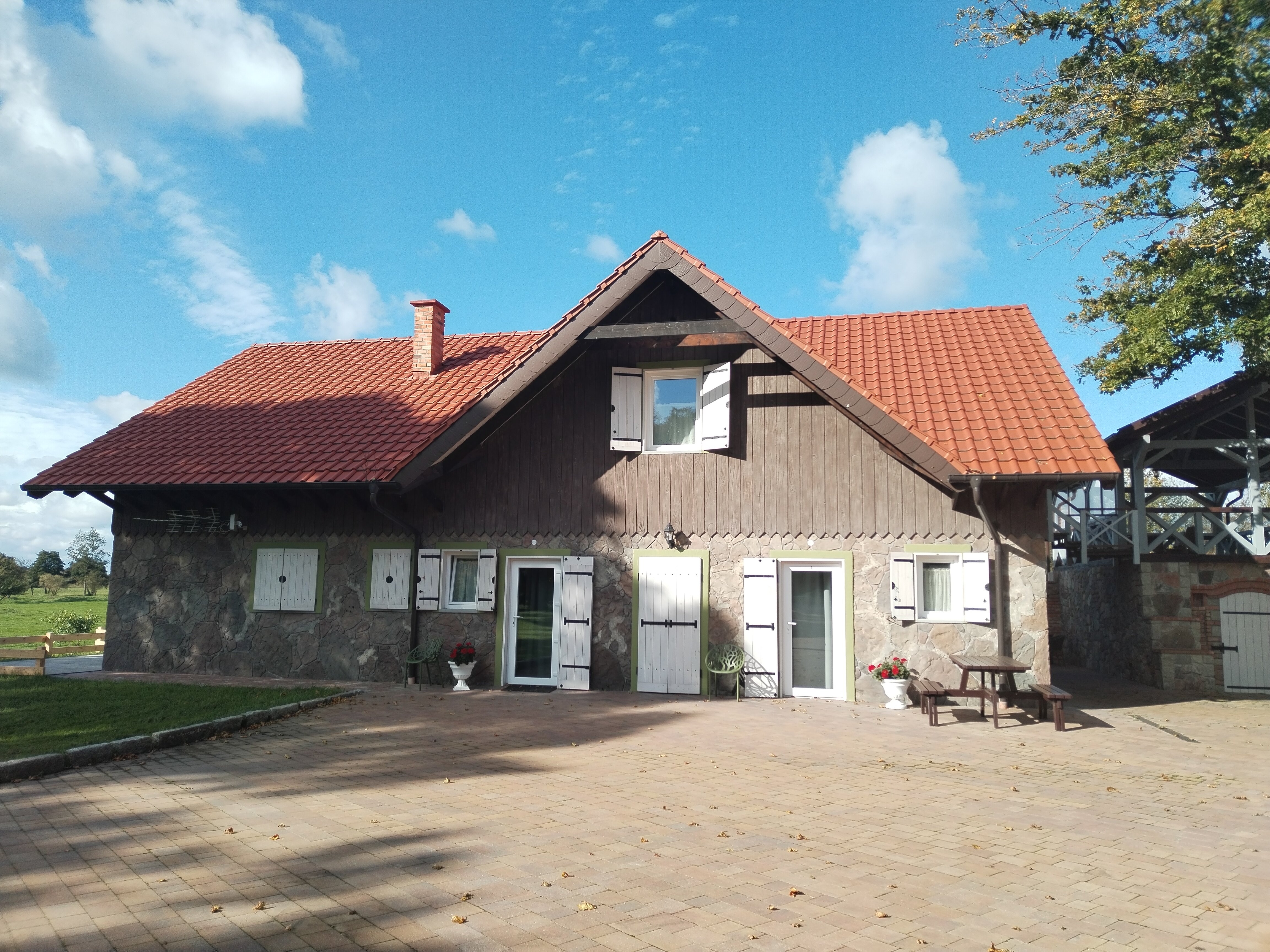 Фото Белый филин