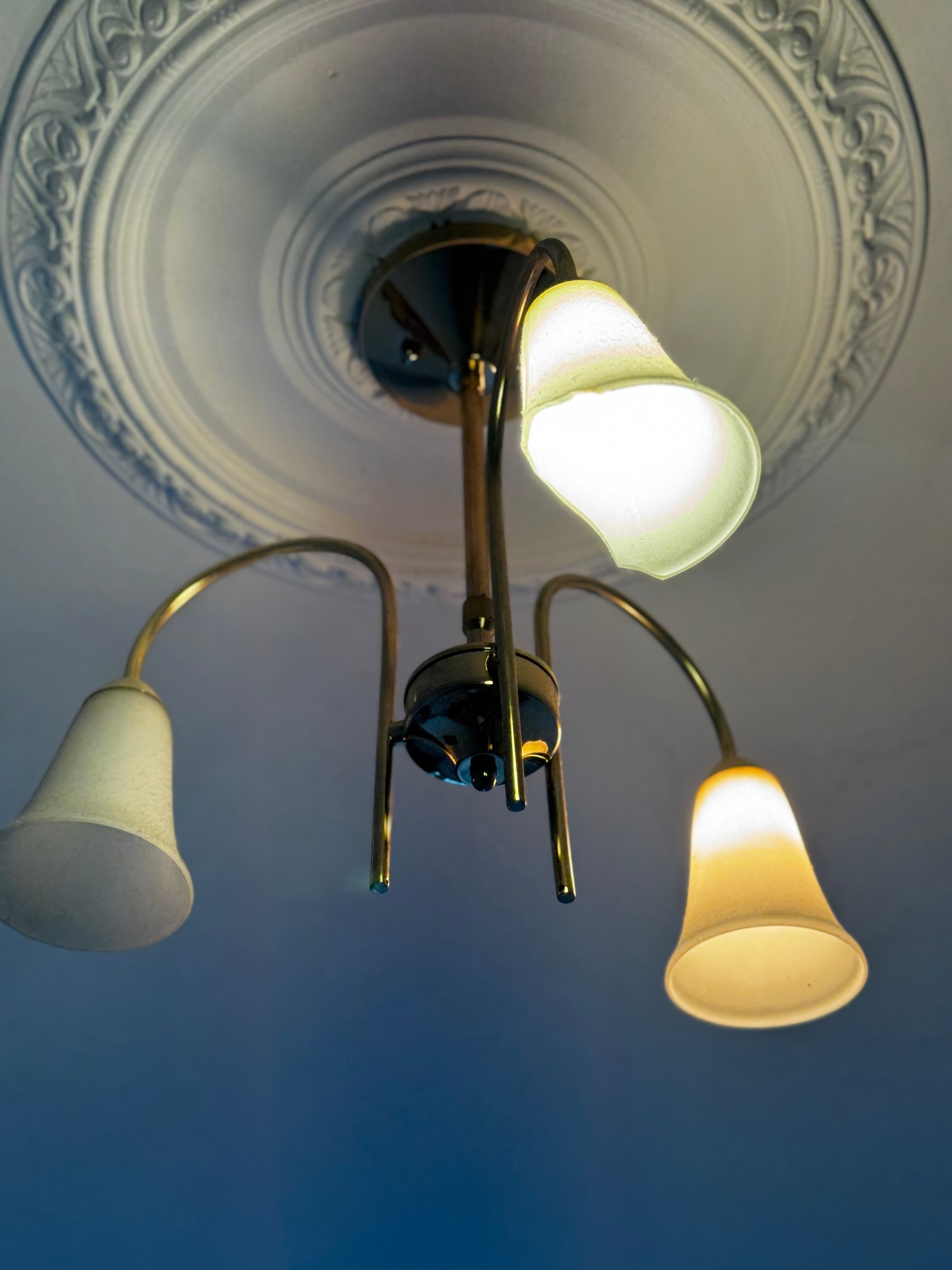 Фото Ван-Голд