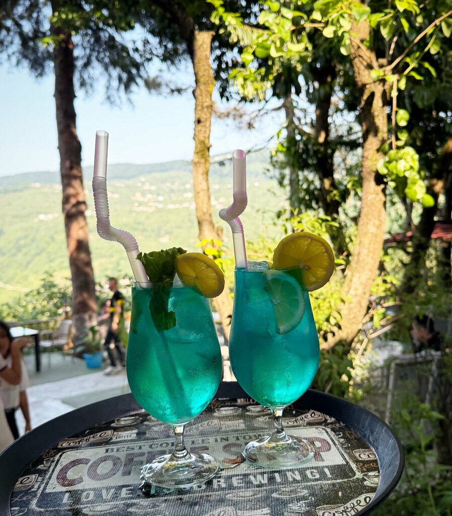 Cafe Asiyan Cafe - Tea Garden Aybasti, Aybasti, photo