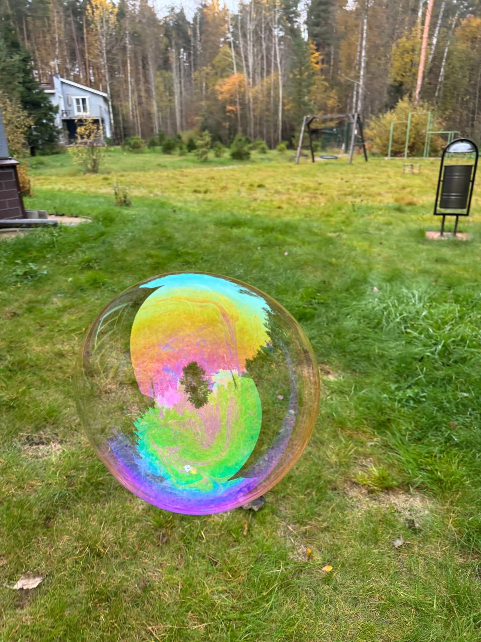 Фото Искатель