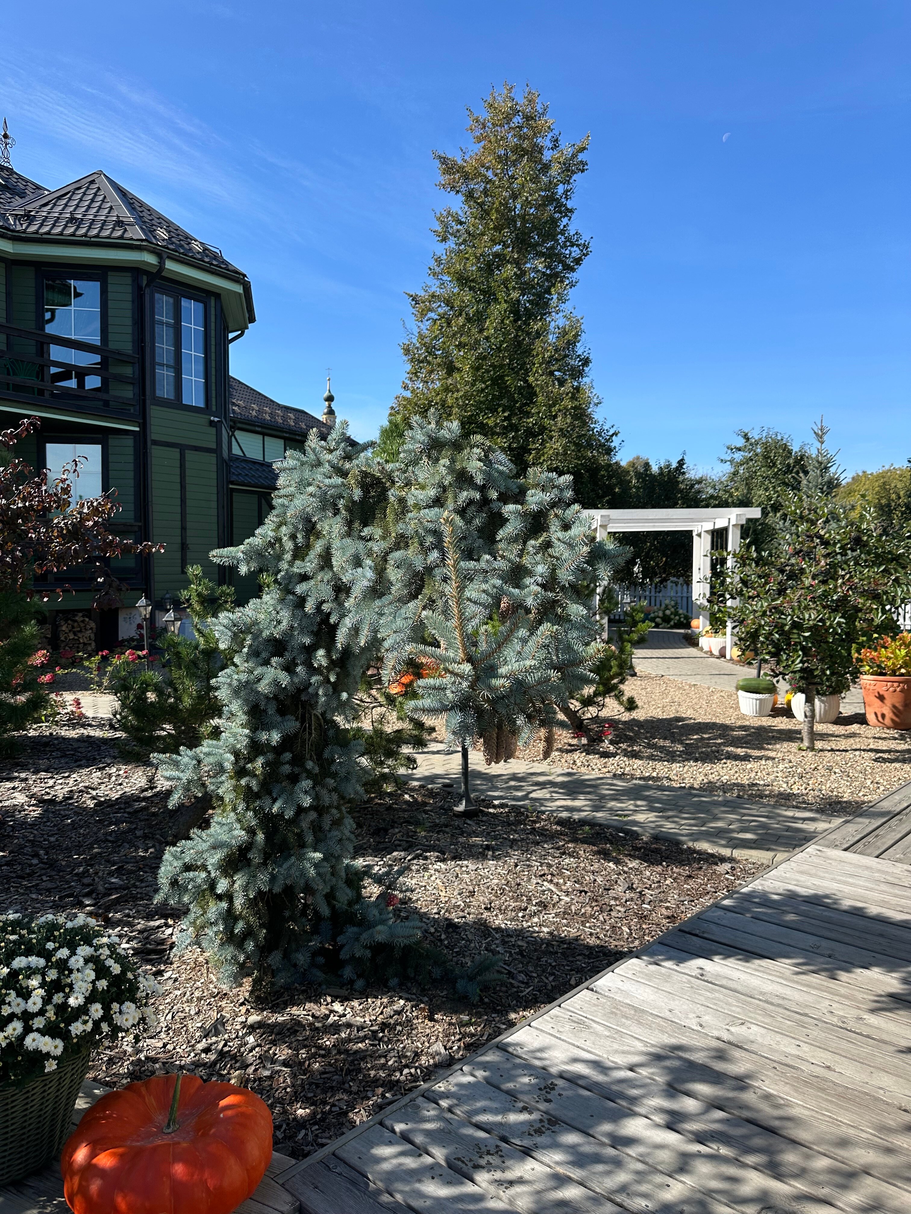 Фото Отель Зелёная Сова