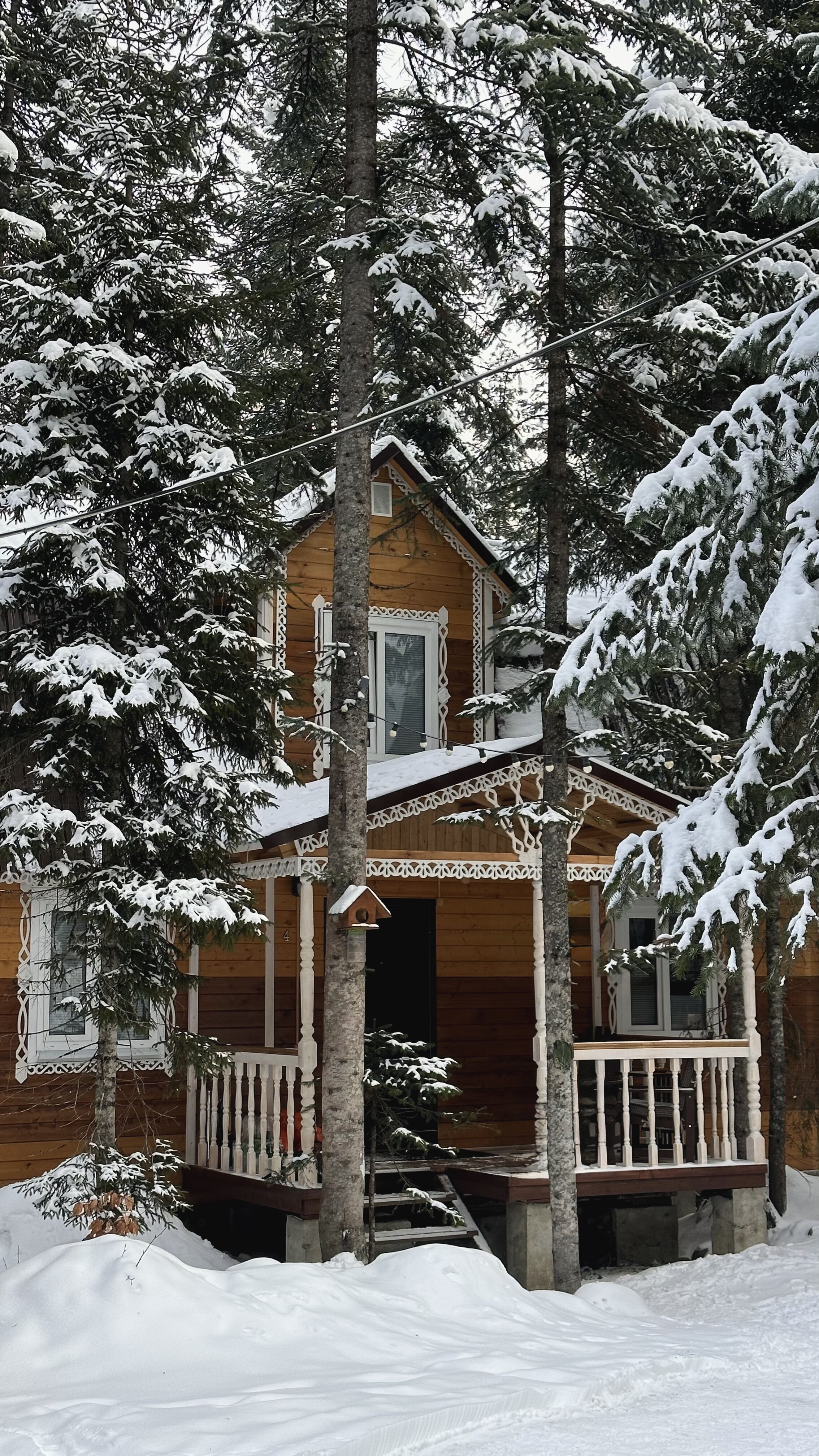 Фото Времена Года