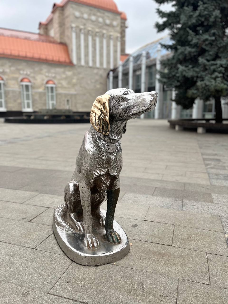 Фото Мартон Бизнес