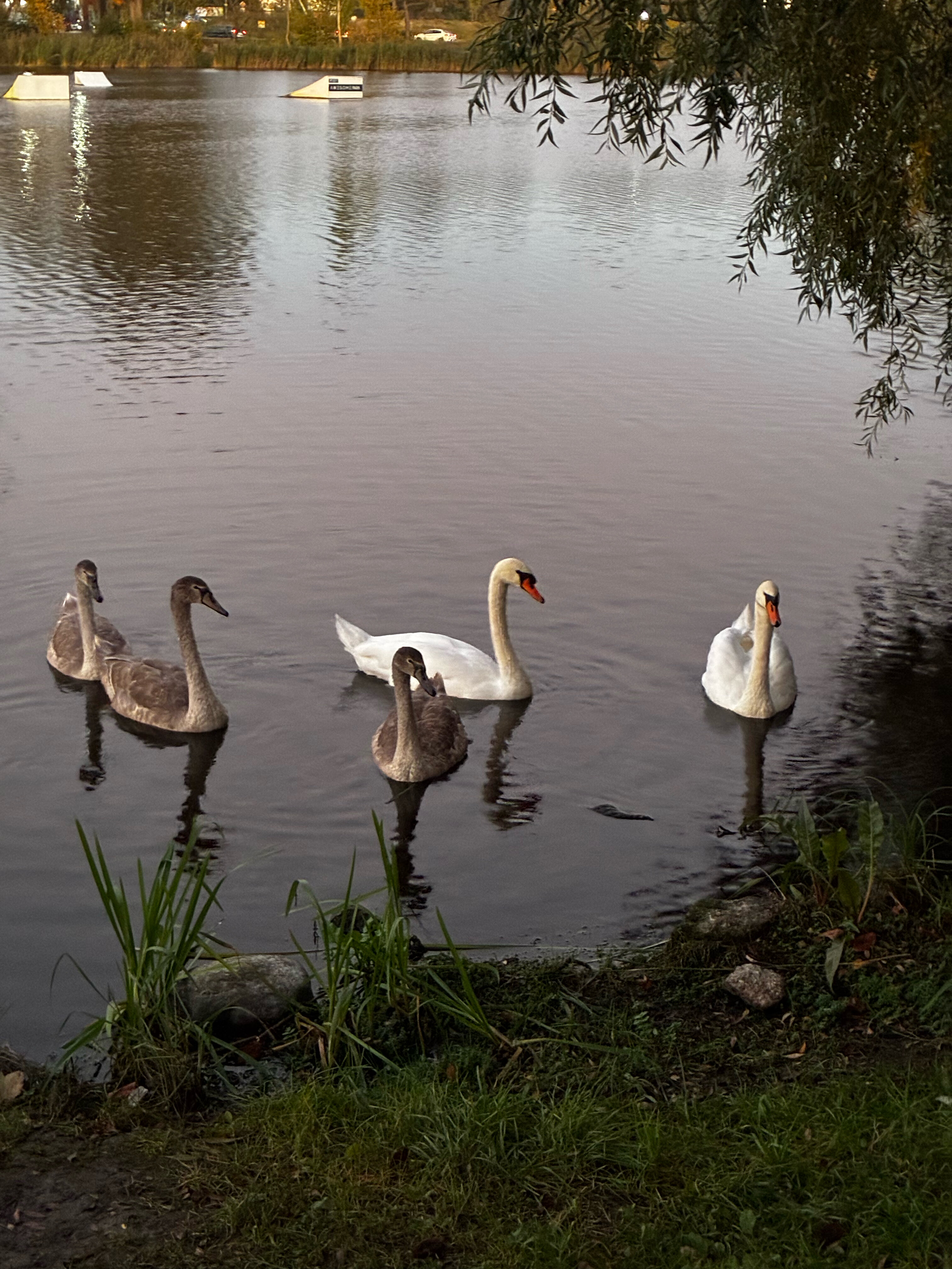 Фото Балтика