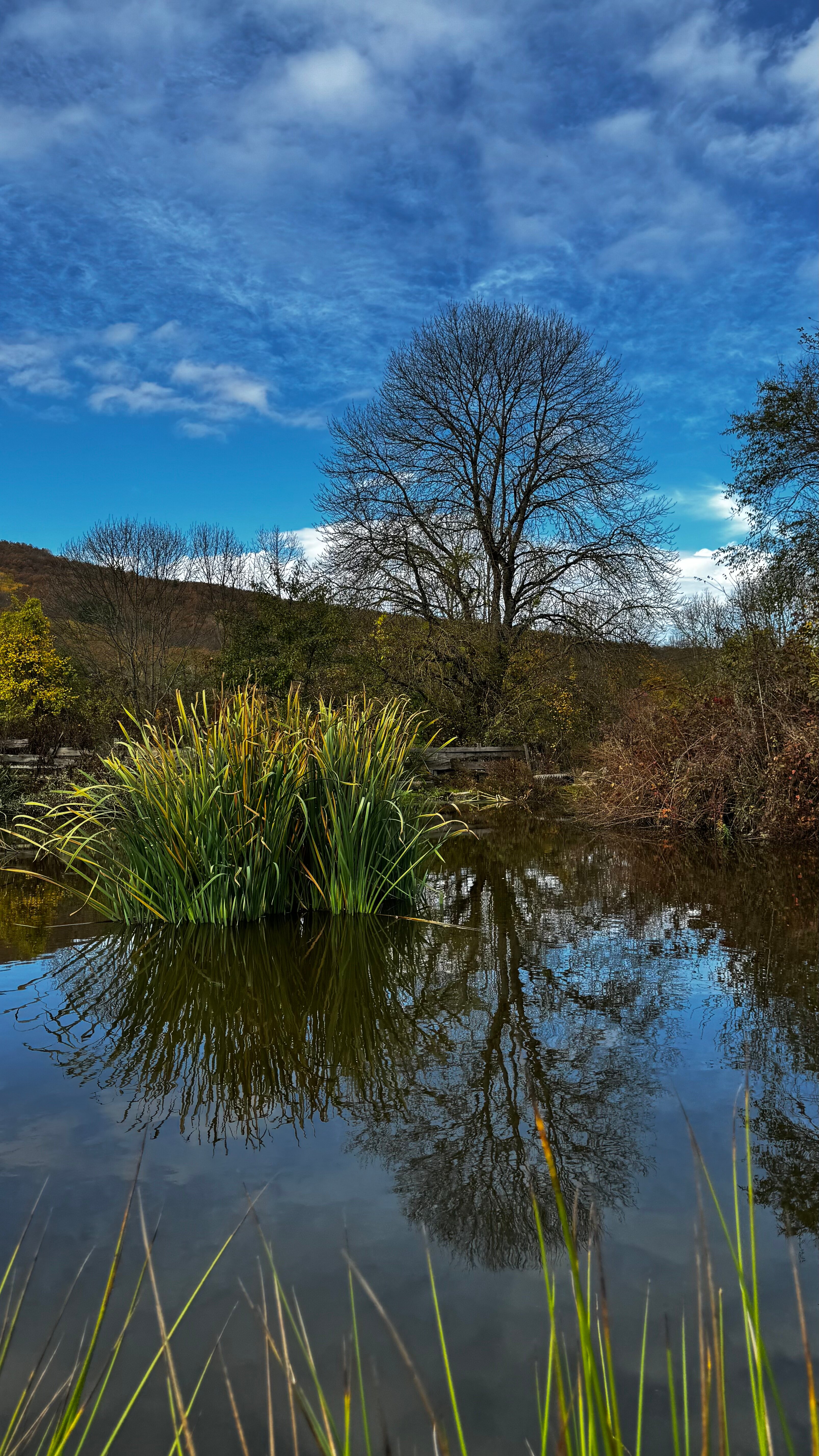 Фото Ален Хаус