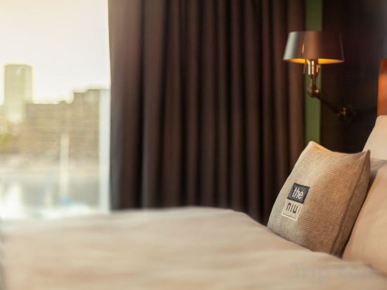 Фото The niu Fender