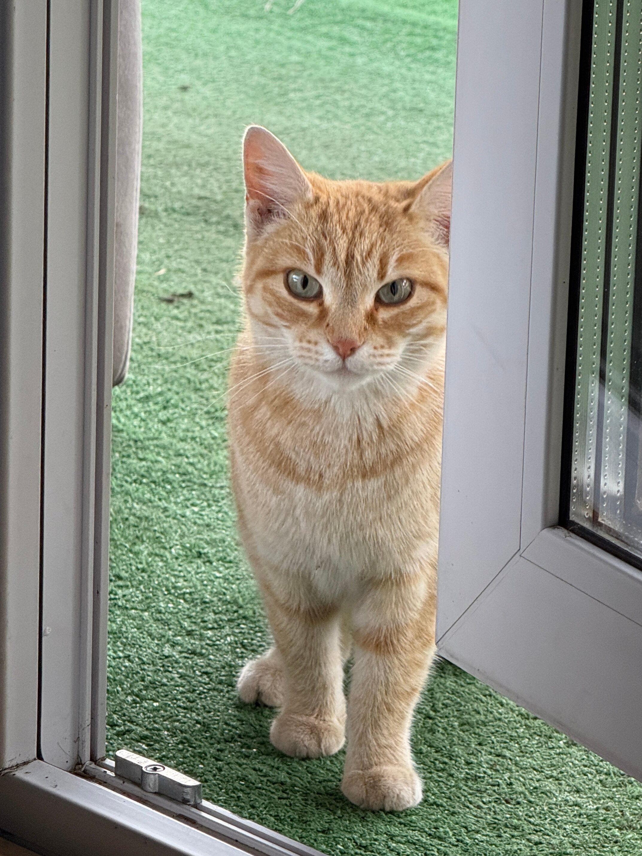 Фото База отдыха Алтай