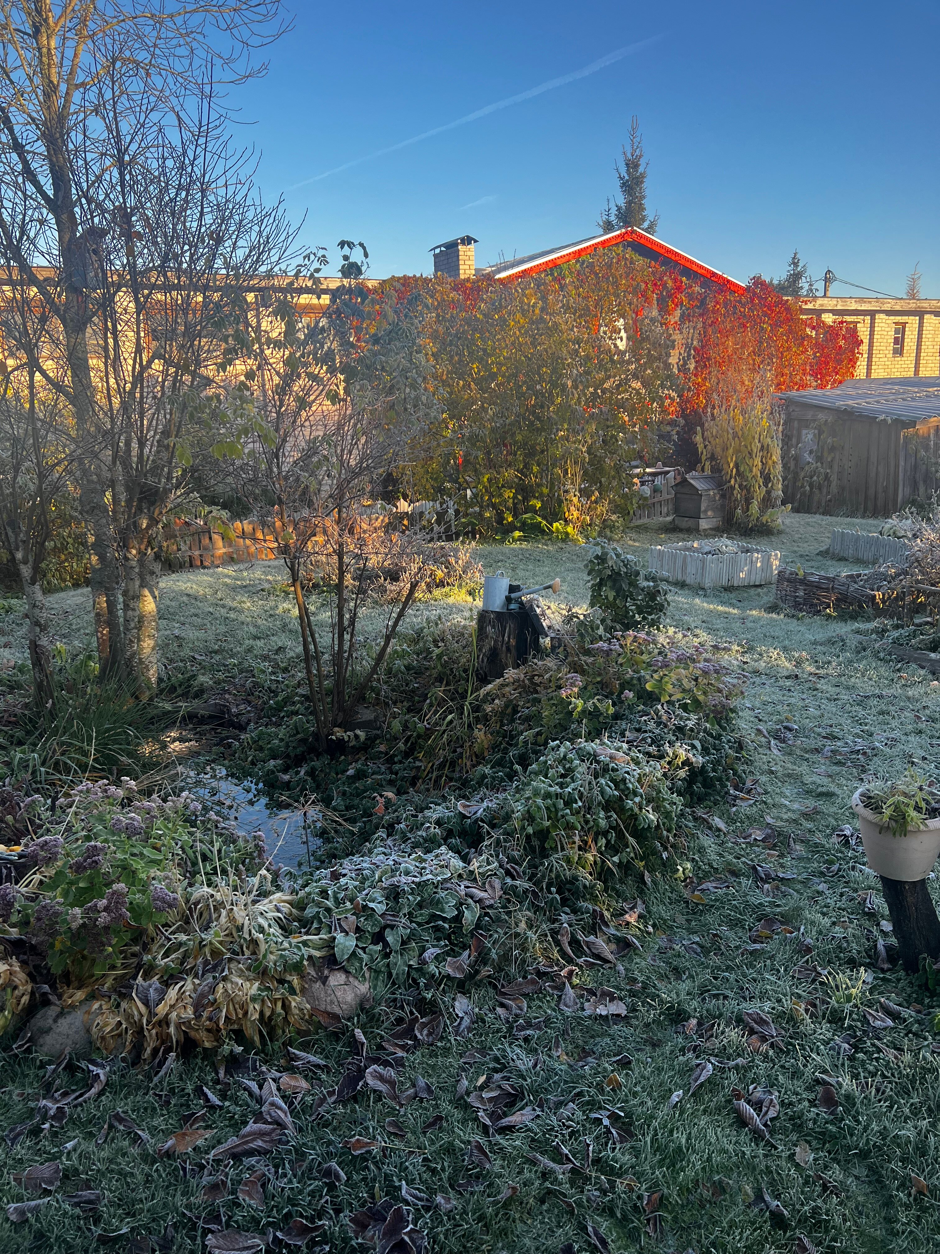 Фото Лосиный тупичок