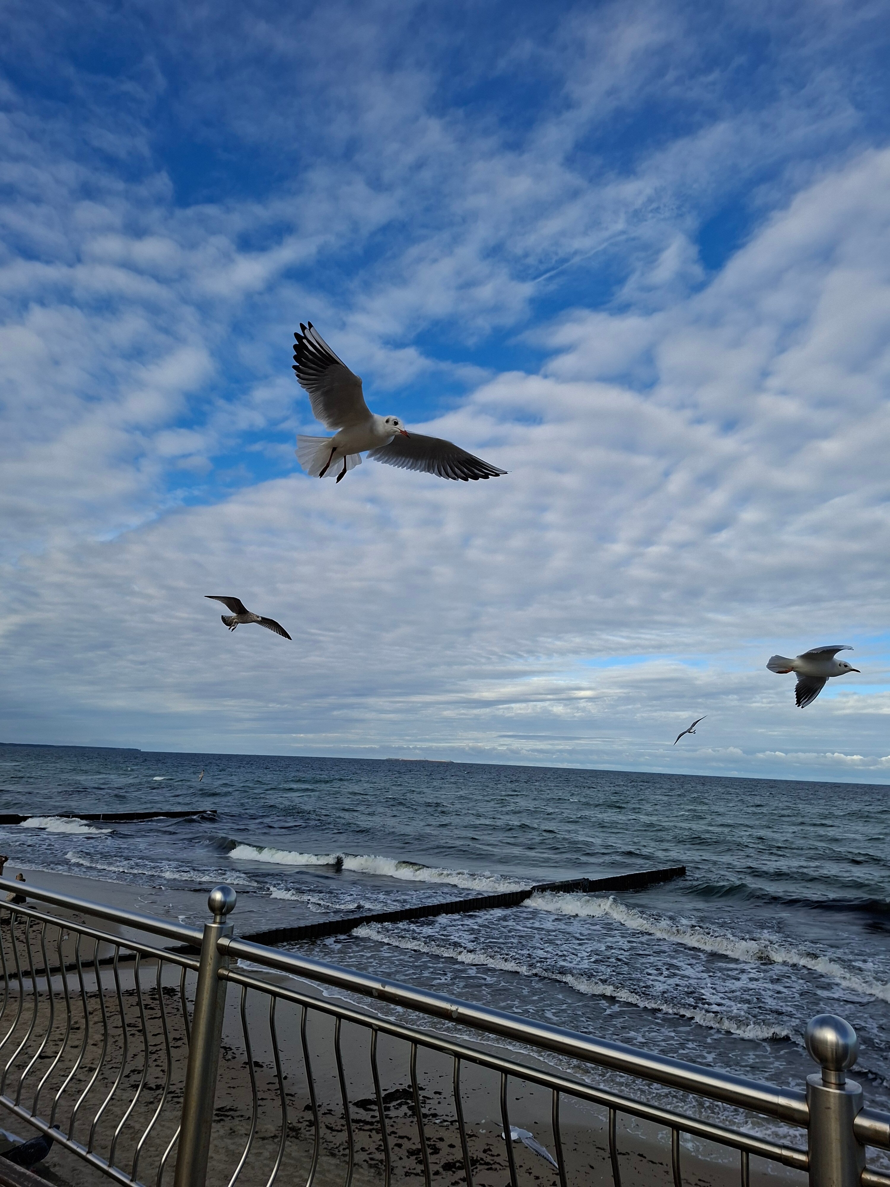 Фото Элиза Бонапарт