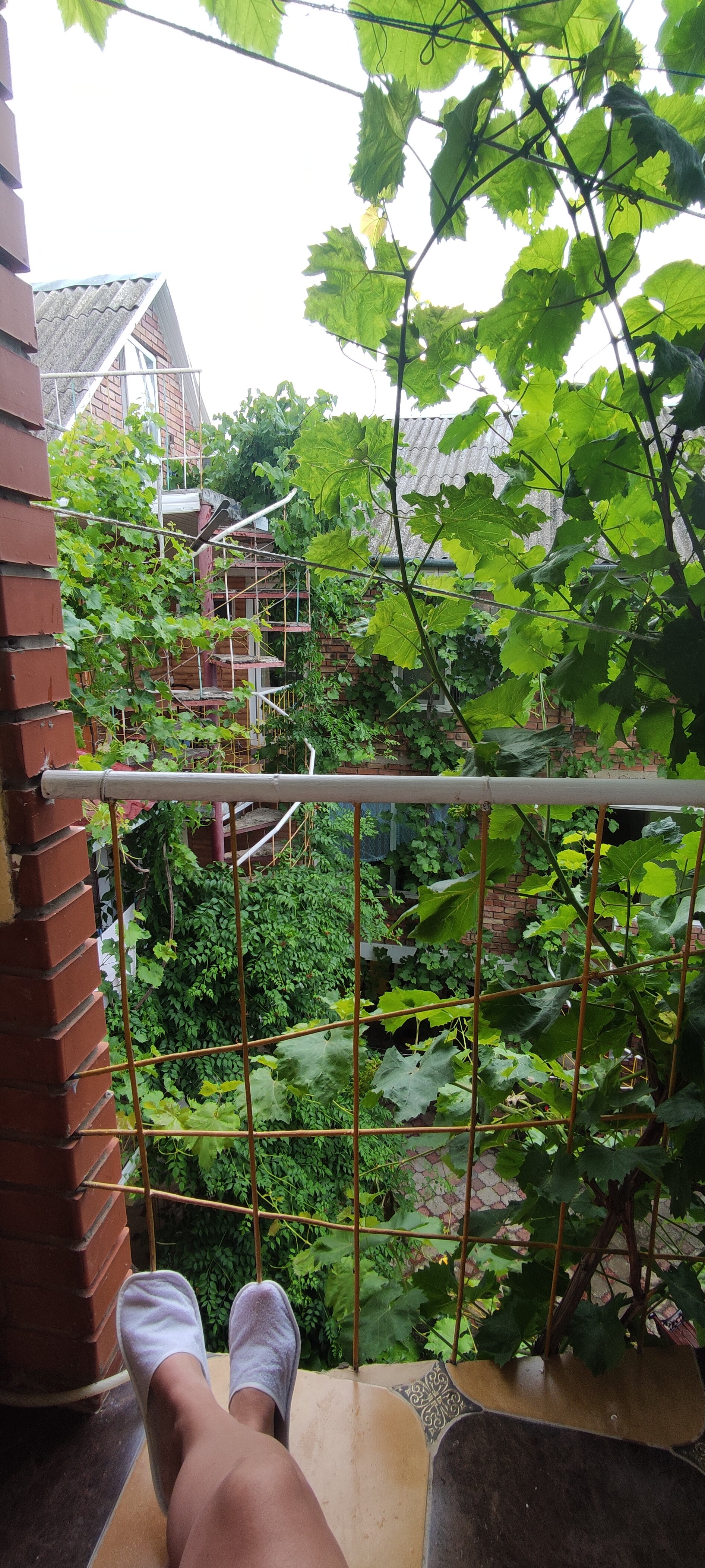 Фото Экзотик