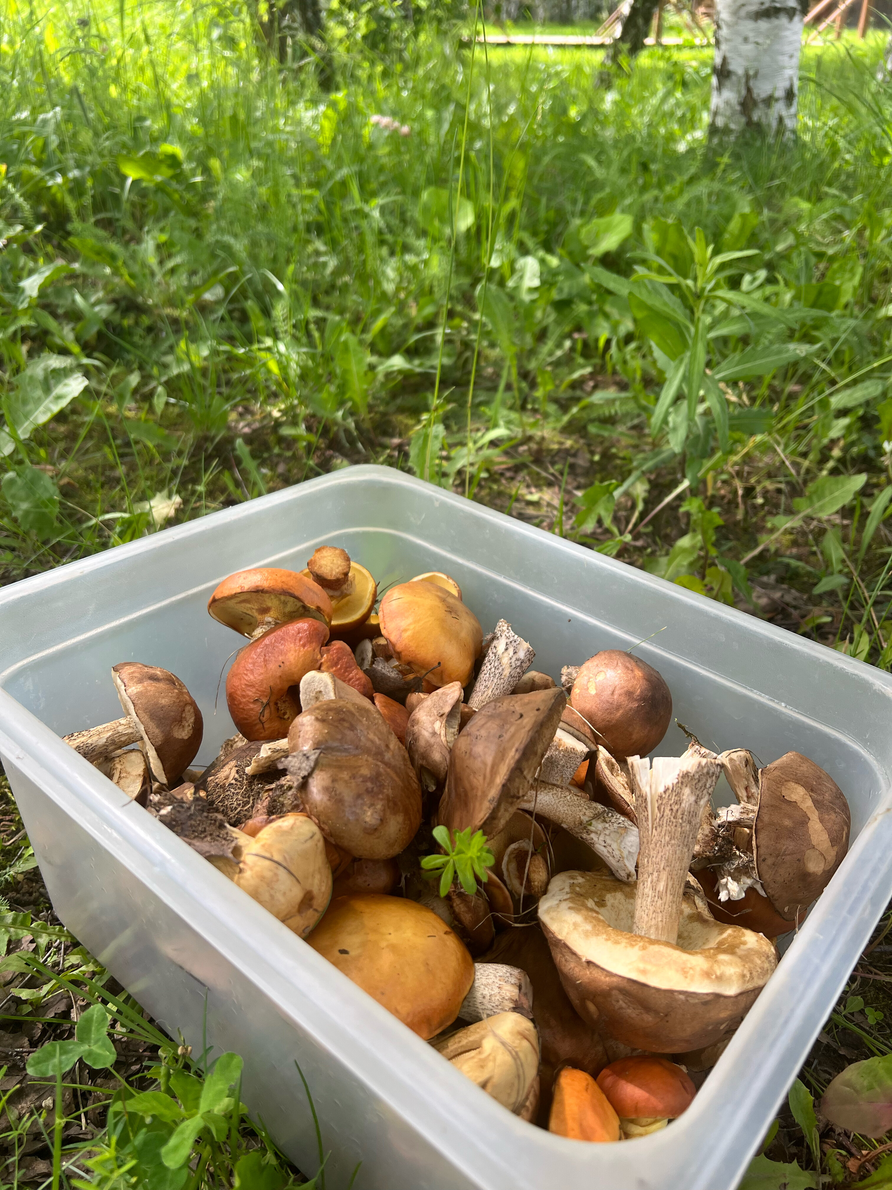 Фото Modom Village