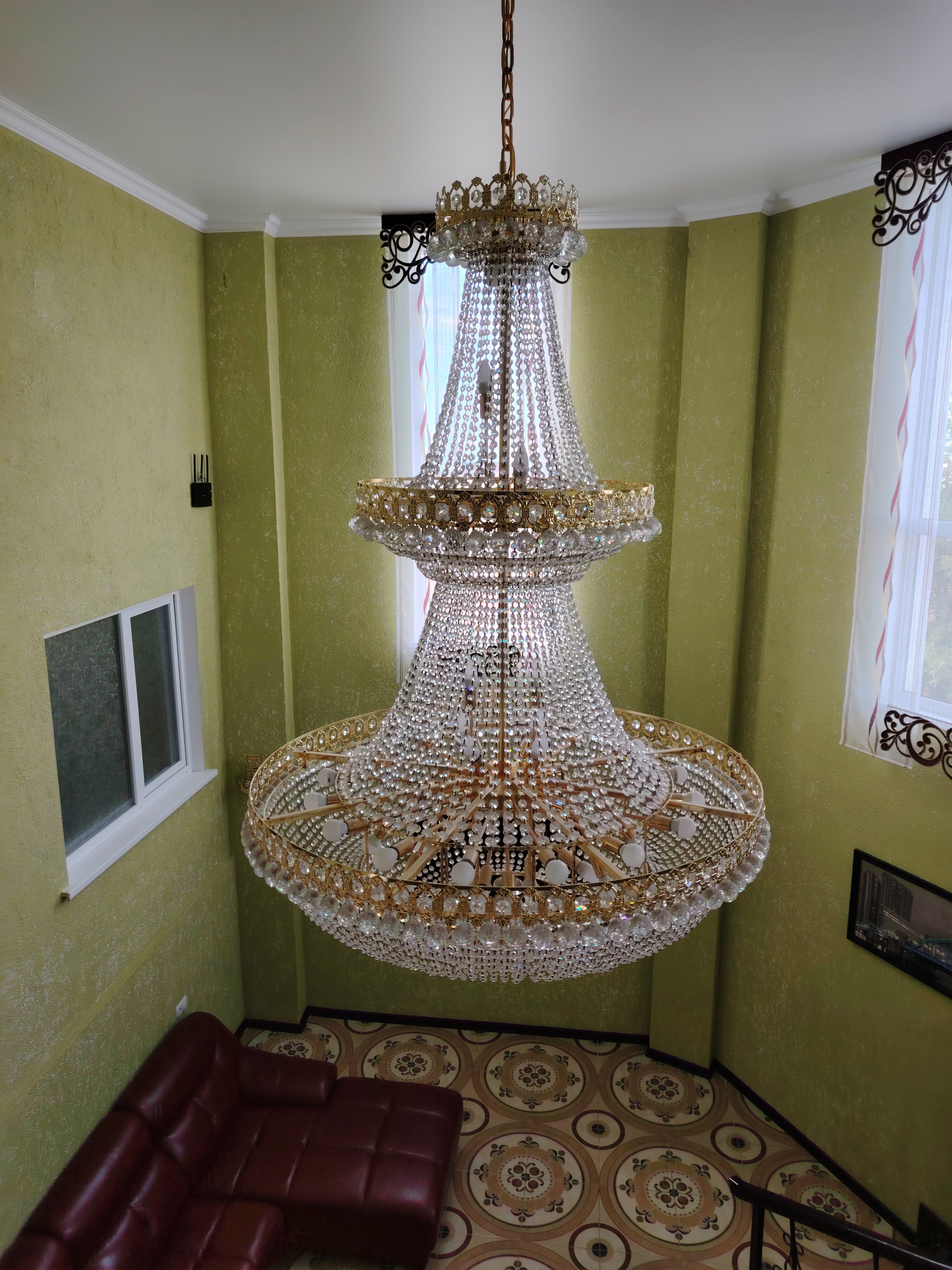 Фото Дельфин