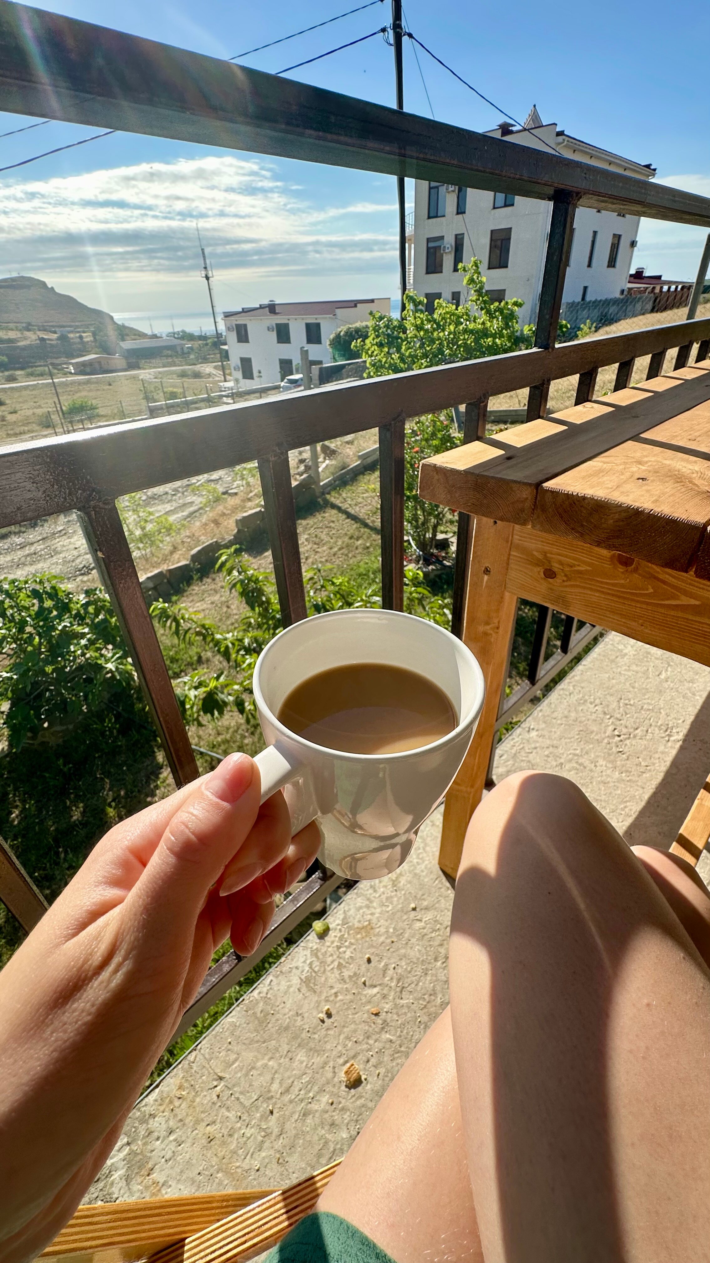 Фото Кипарис