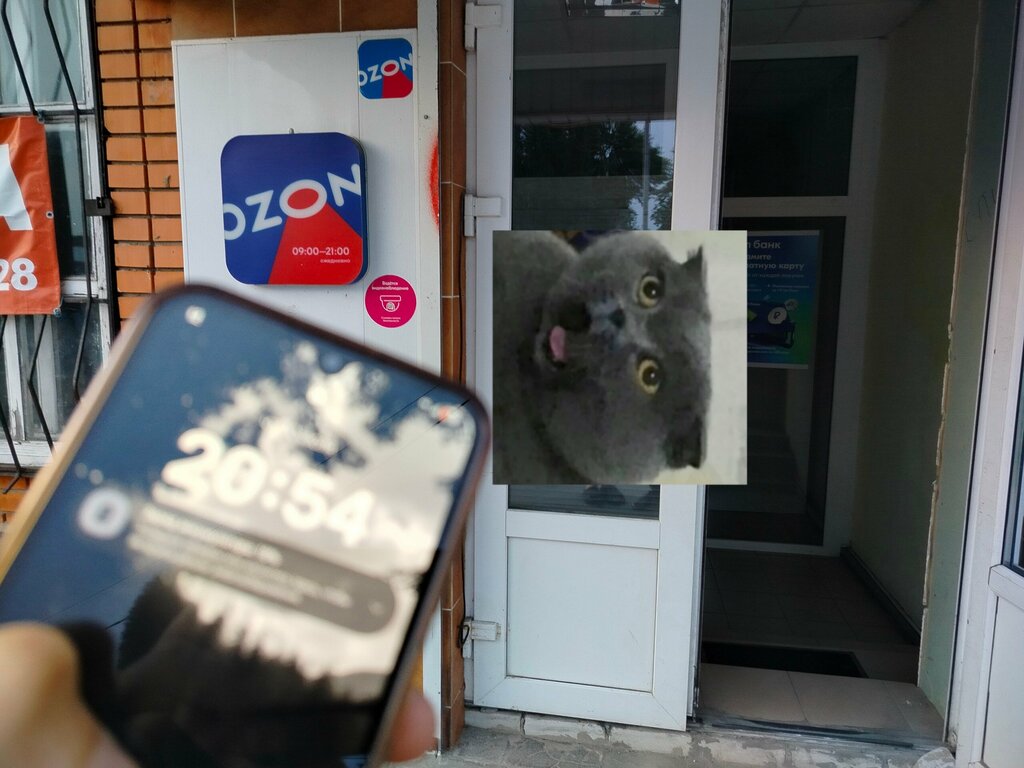 Point of delivery Ozon, Mglin, photo