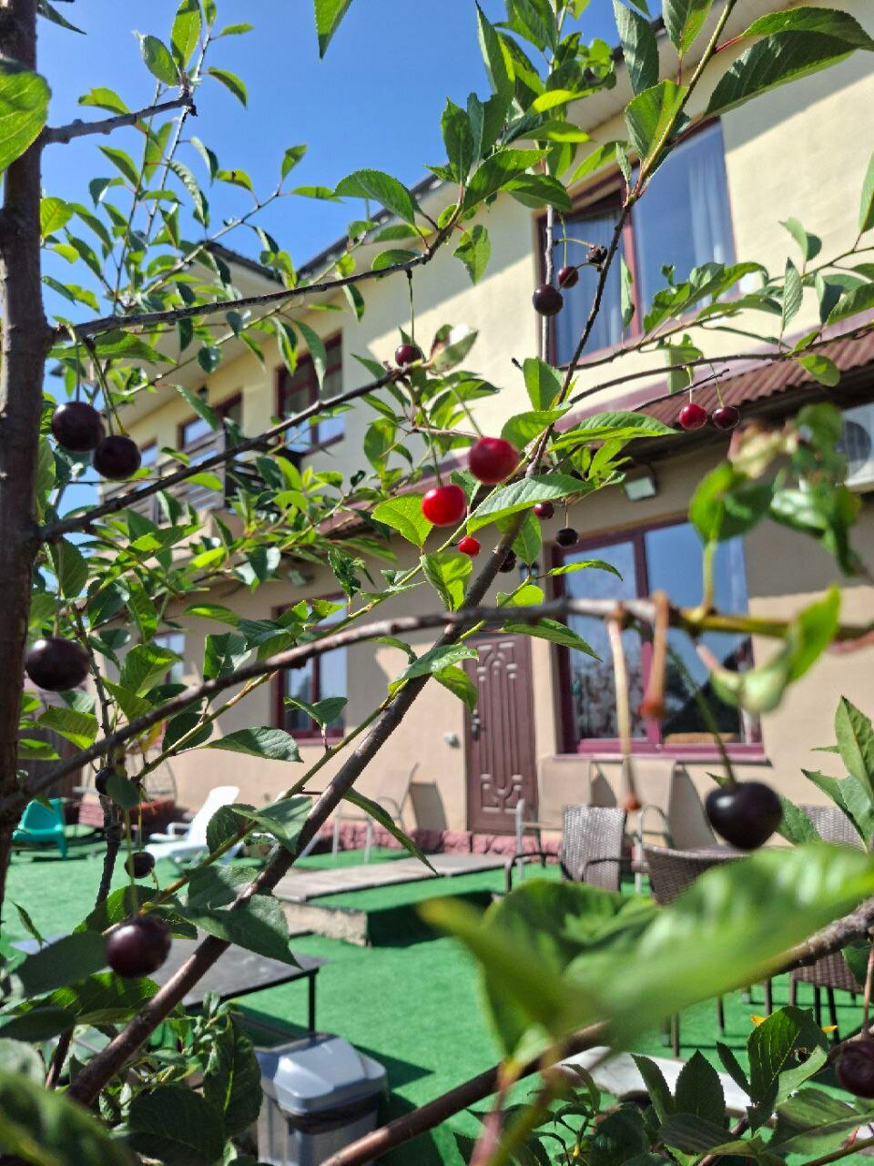 Фото ДеревняЛевково.рф