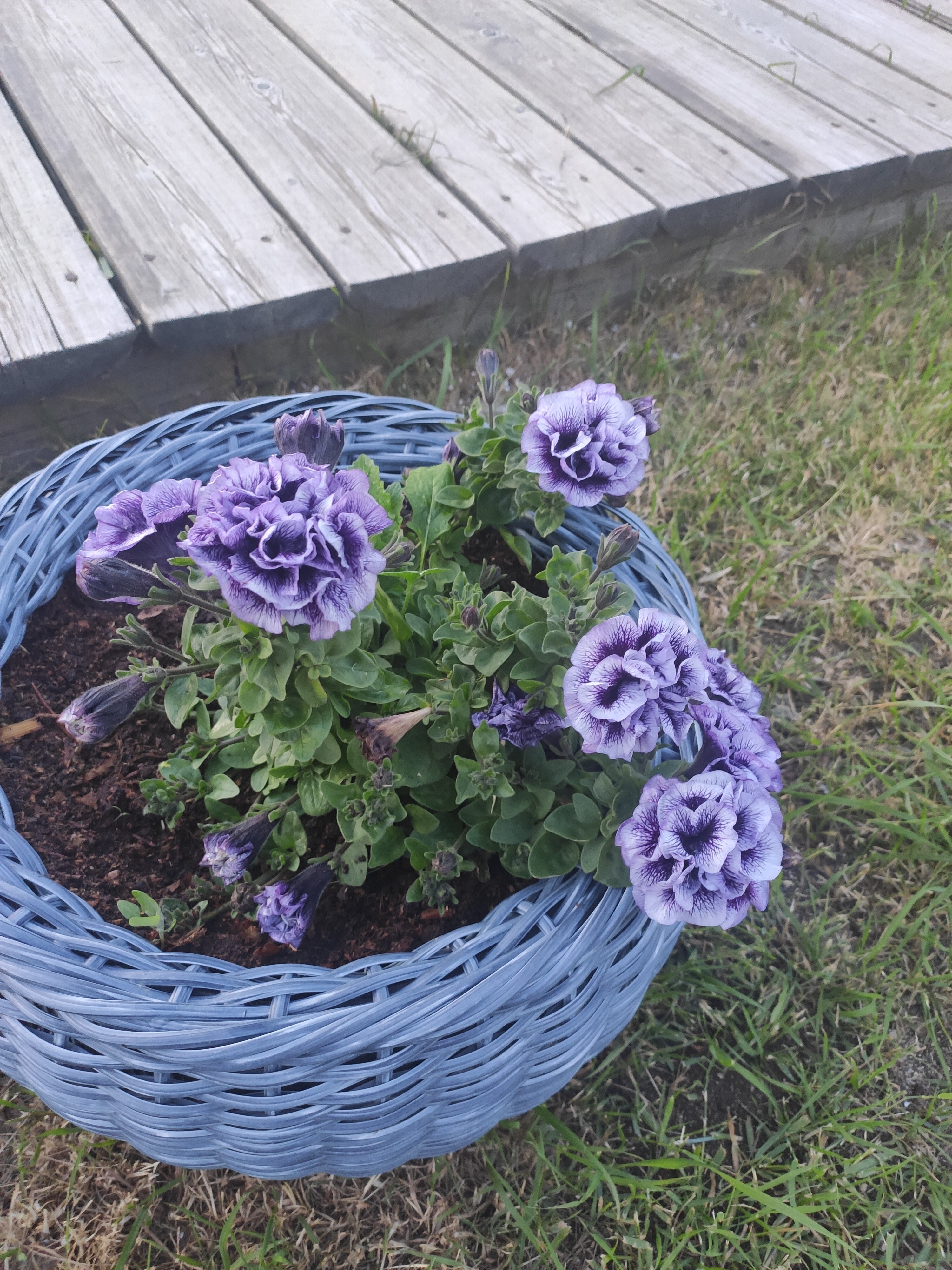 Фото Вдохновение