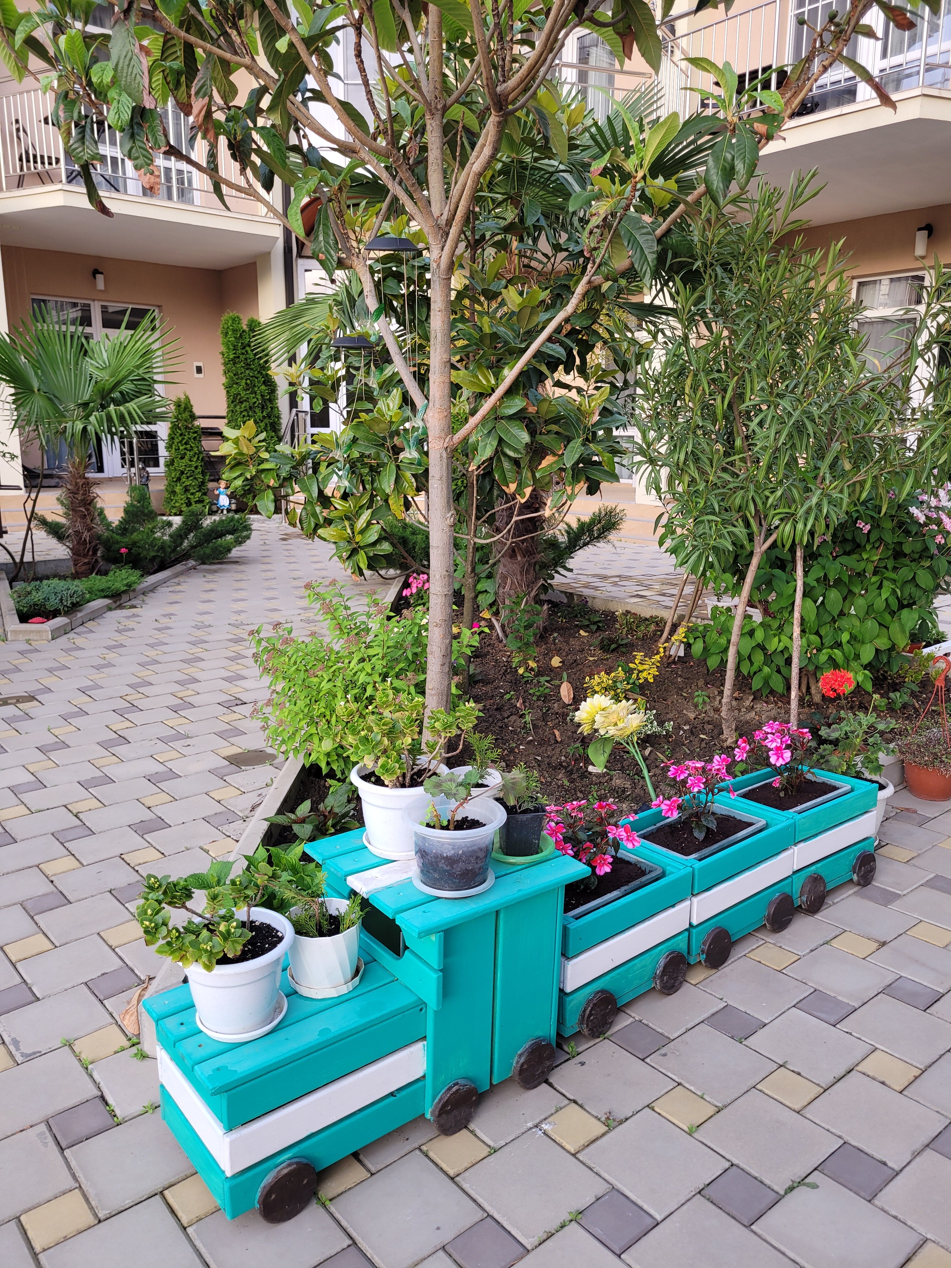 Фото Колибри