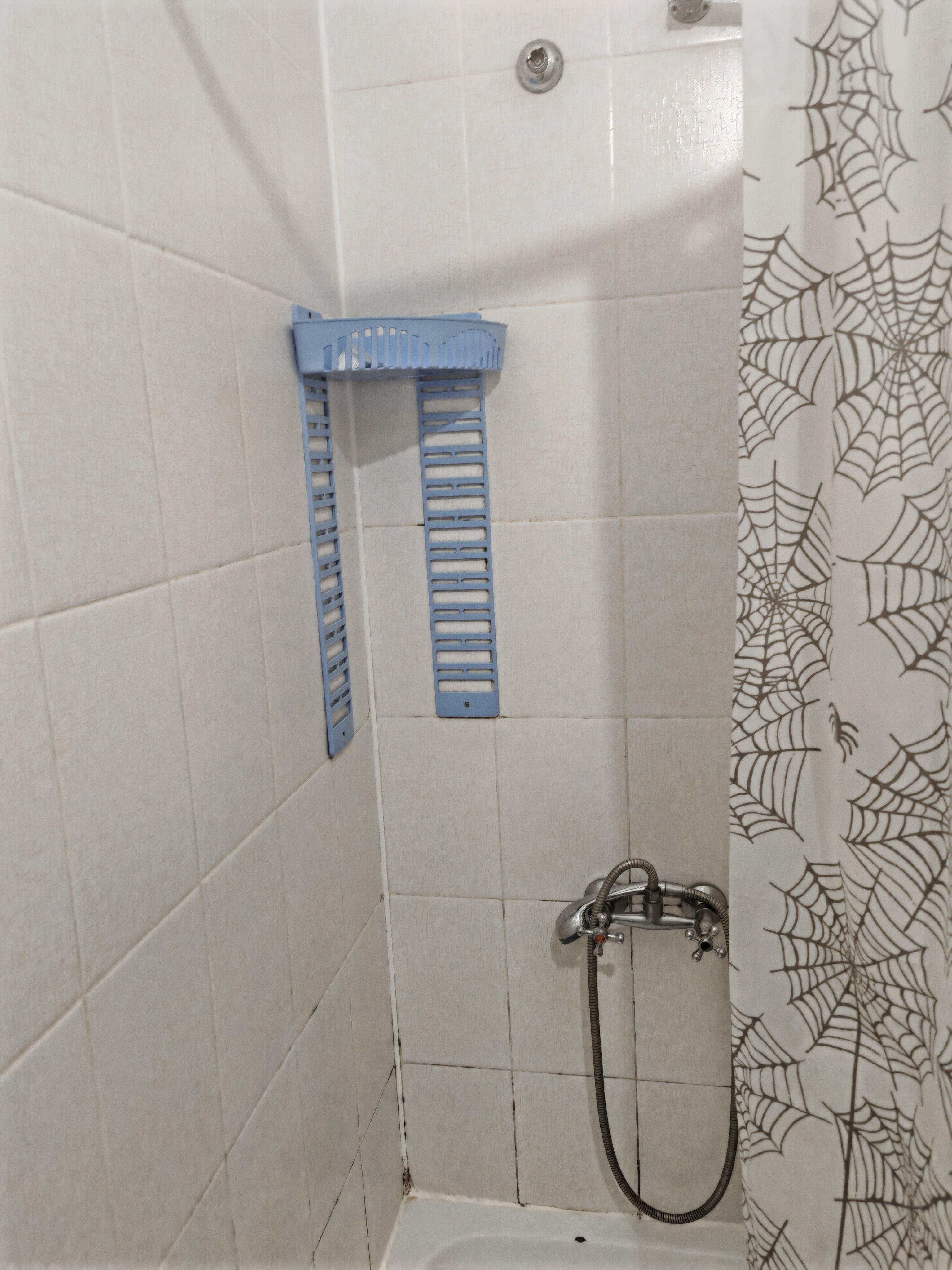 Фото Глория