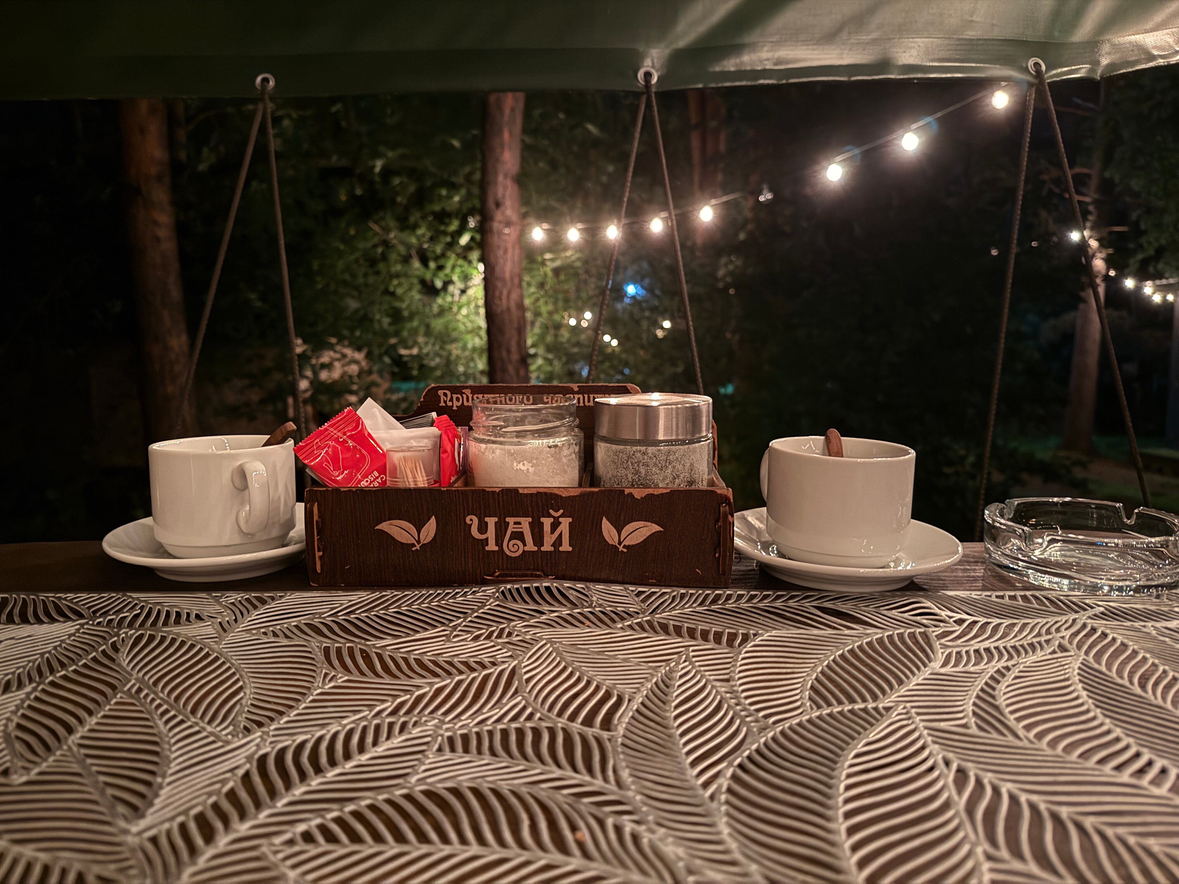 Фото Лесная семья