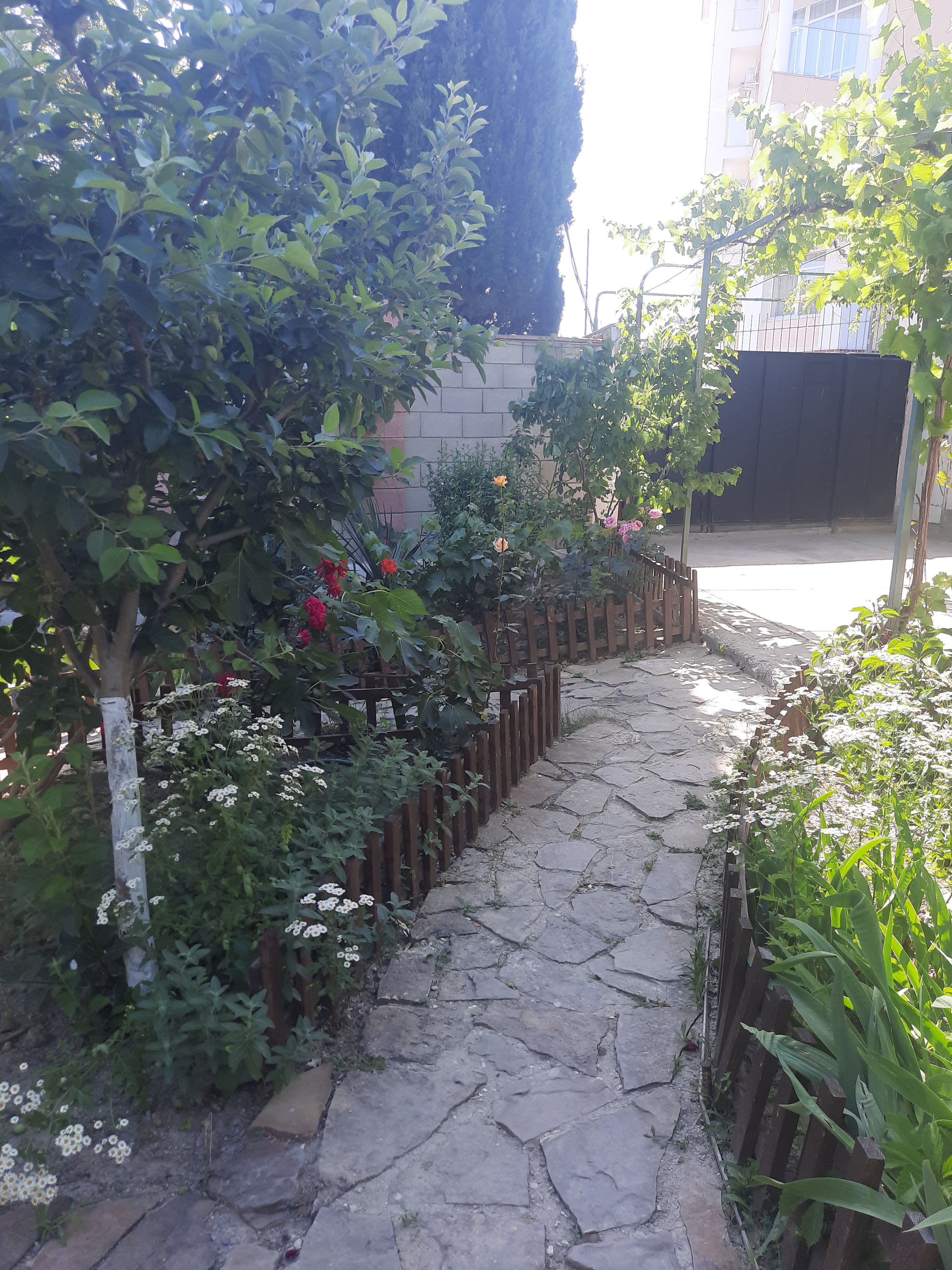 Фото Зелёный дворик