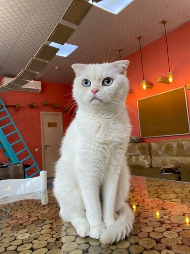 Уфалық жігітпен жыныстық қатынас