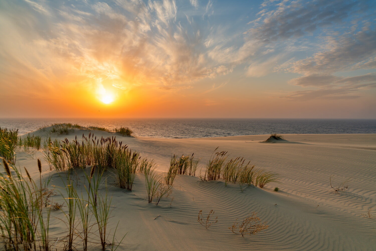 Фото Апартаменты FOKsea