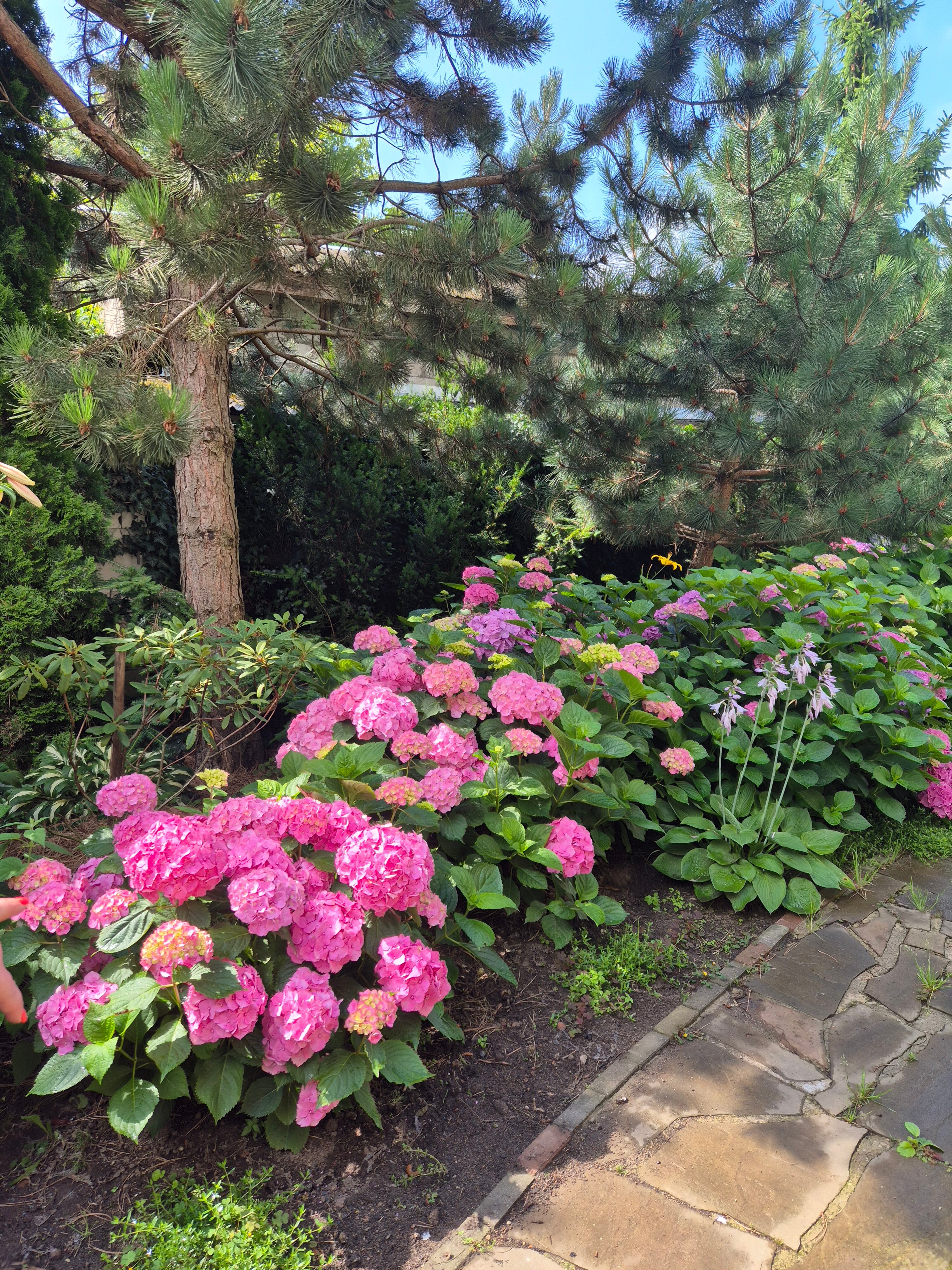 Фото Дельта