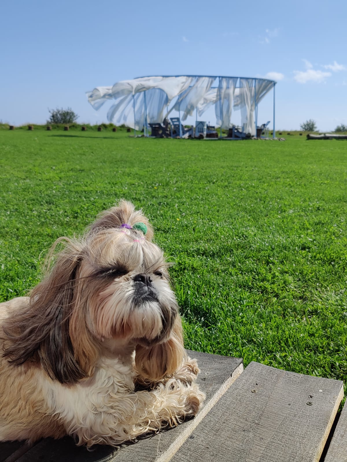 Фото Щастье