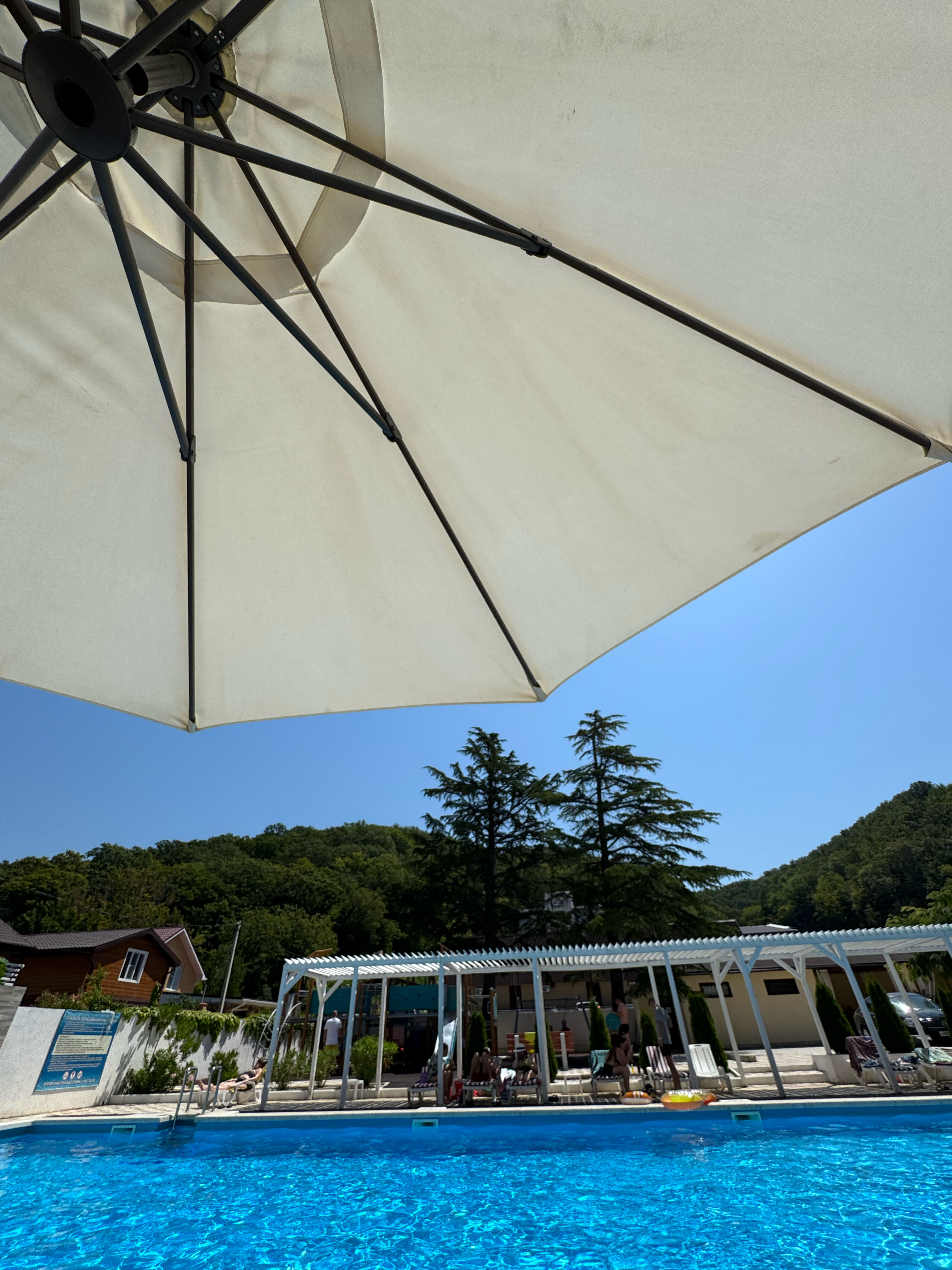 Фото Аммонит