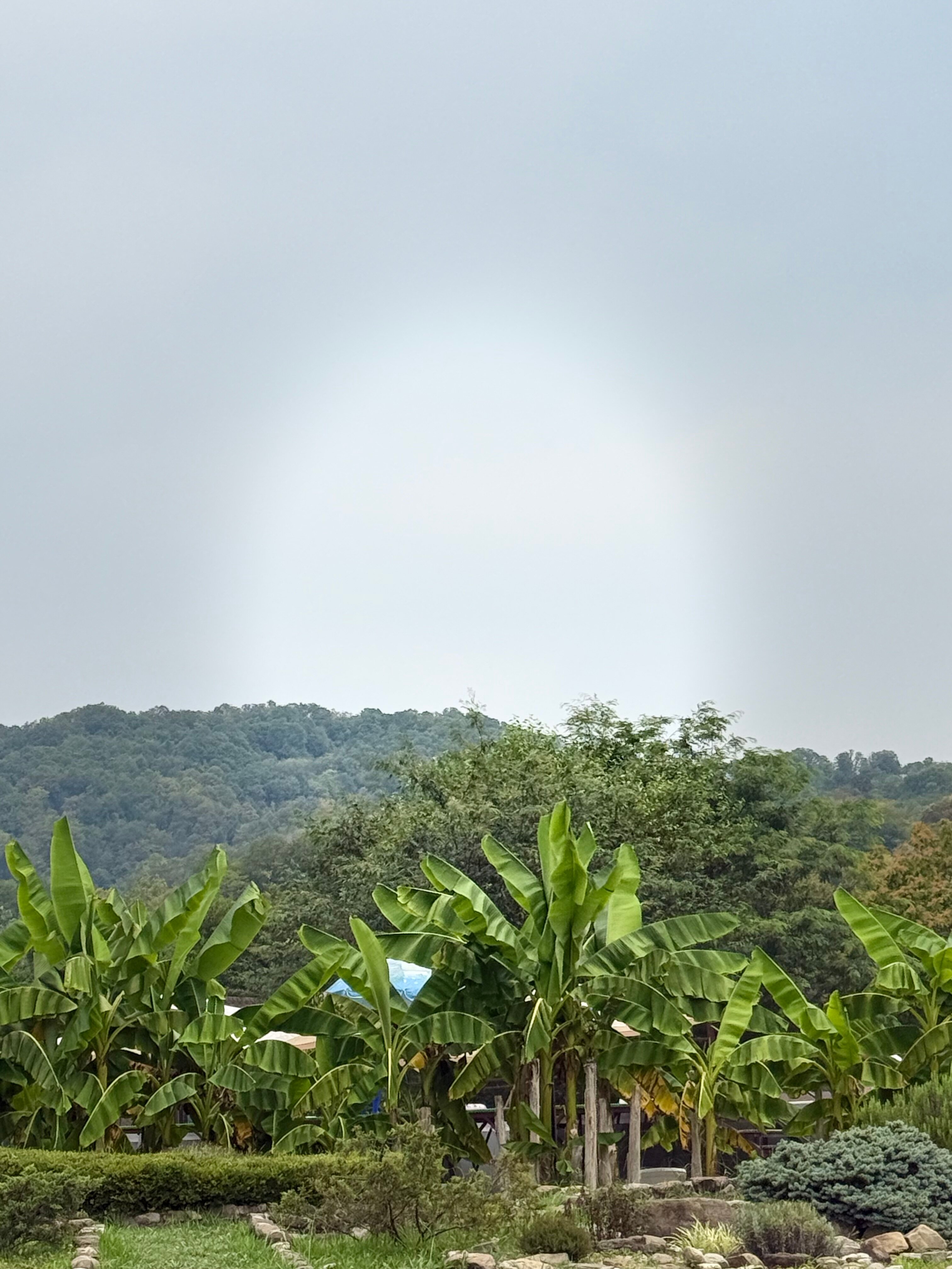 Фото Эко Парк Вотчина